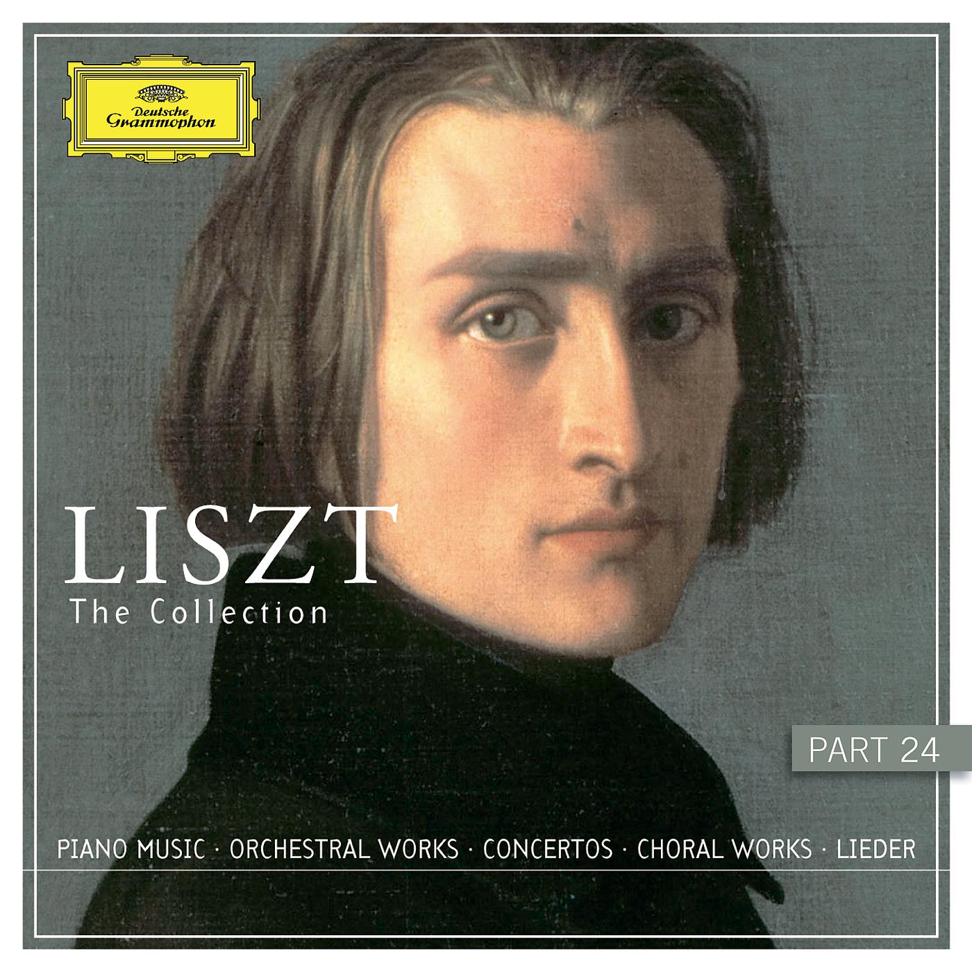 Постер альбома Liszt: Lieder