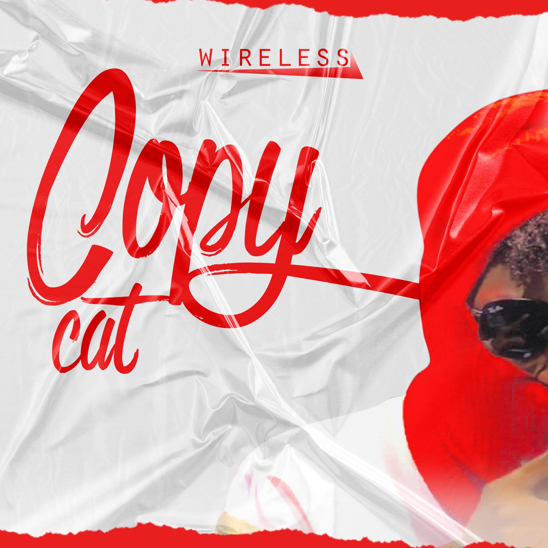 Постер альбома Copy cat