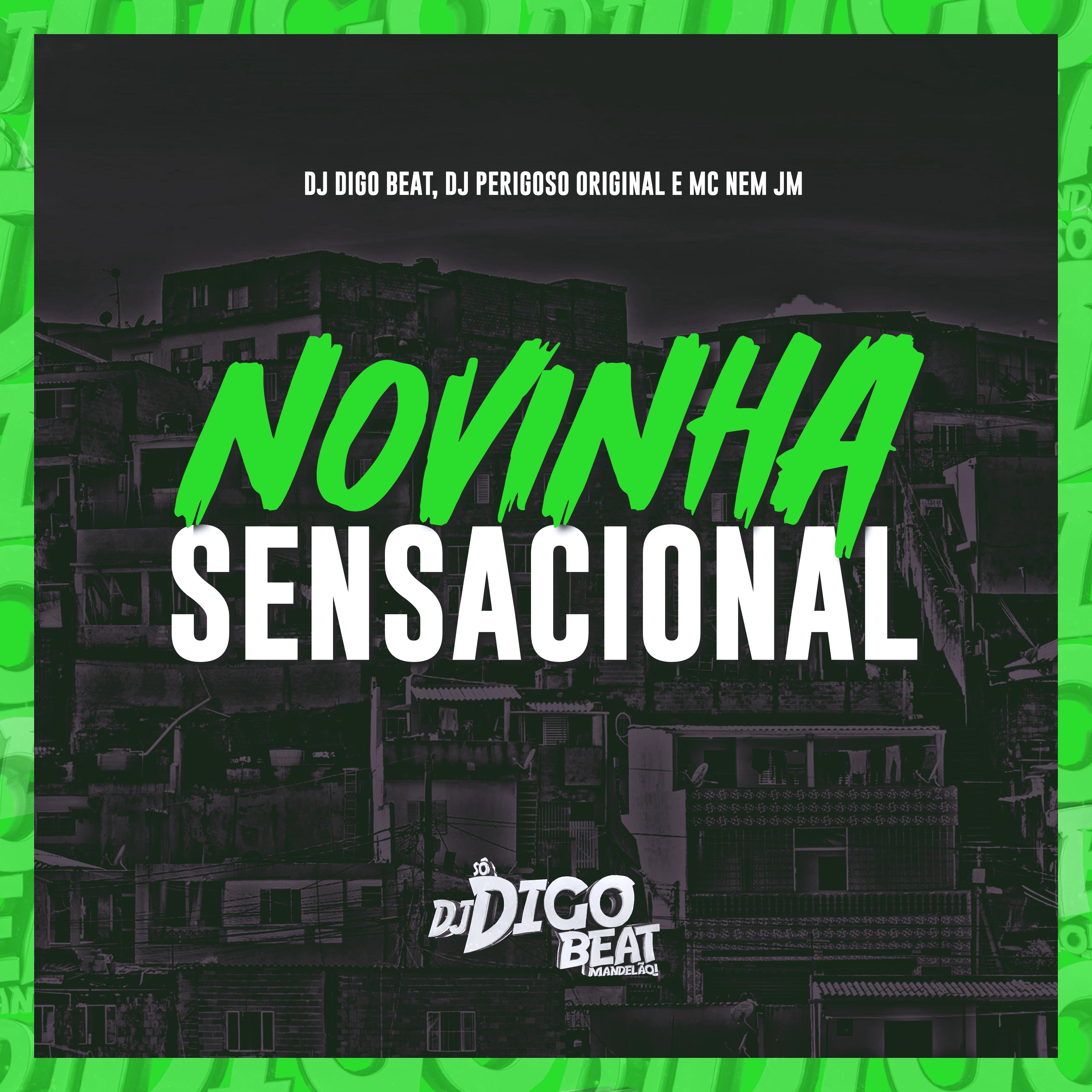 Постер альбома Novinha Sensacional