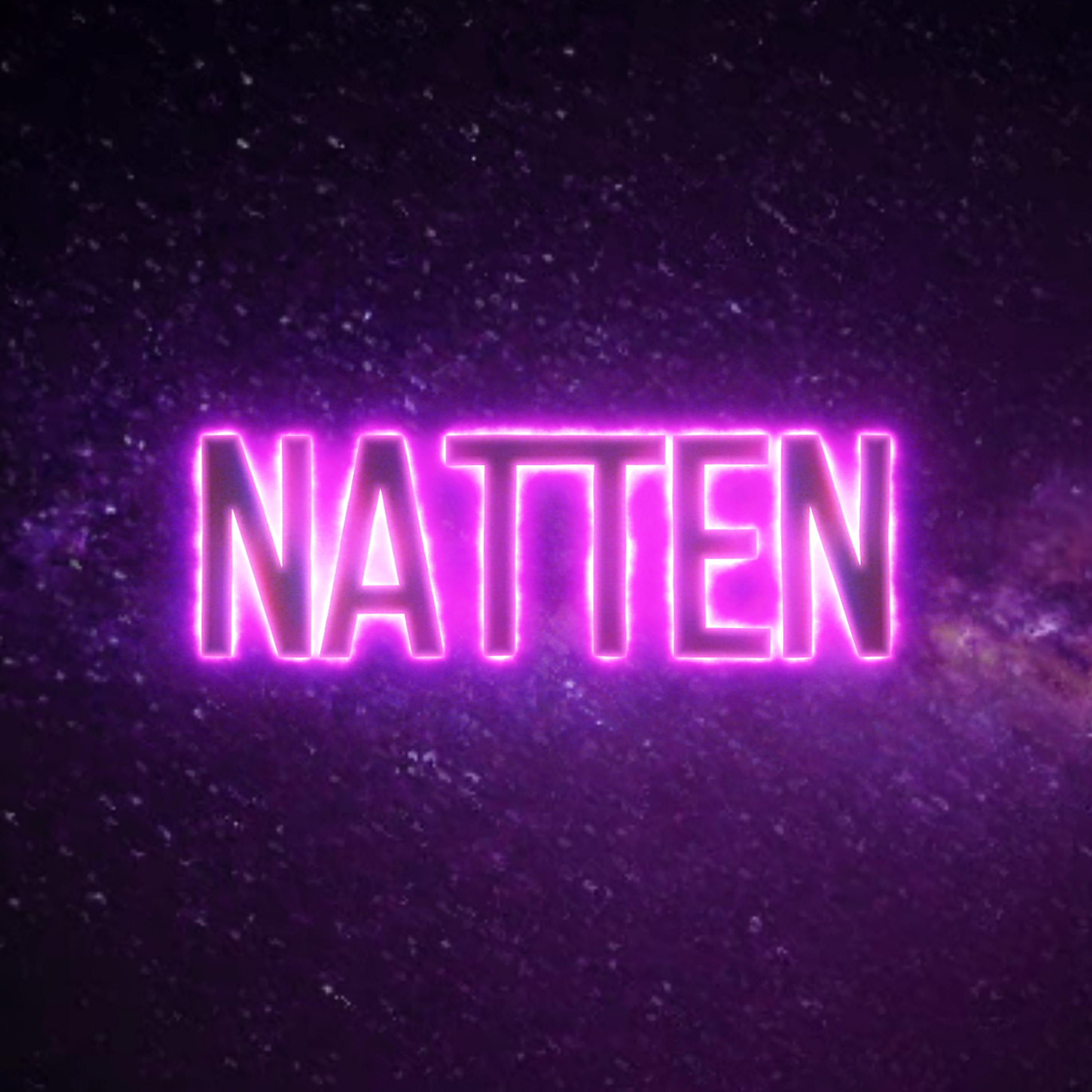 Постер альбома Natten