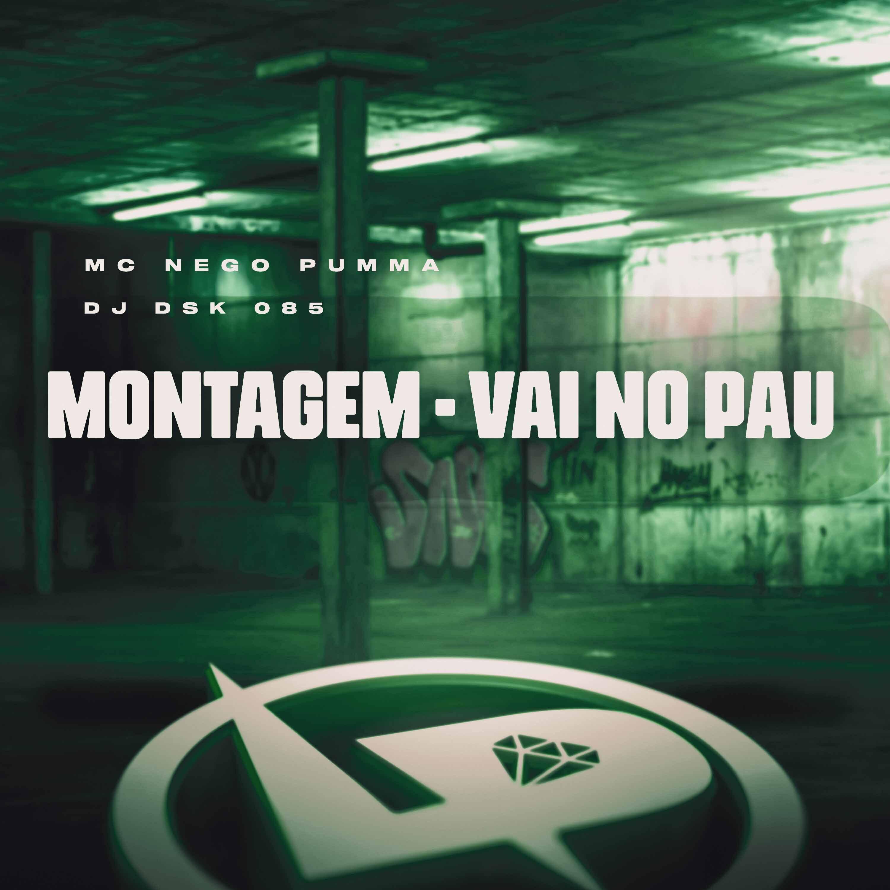 Постер альбома Montagem - Vai no Pau