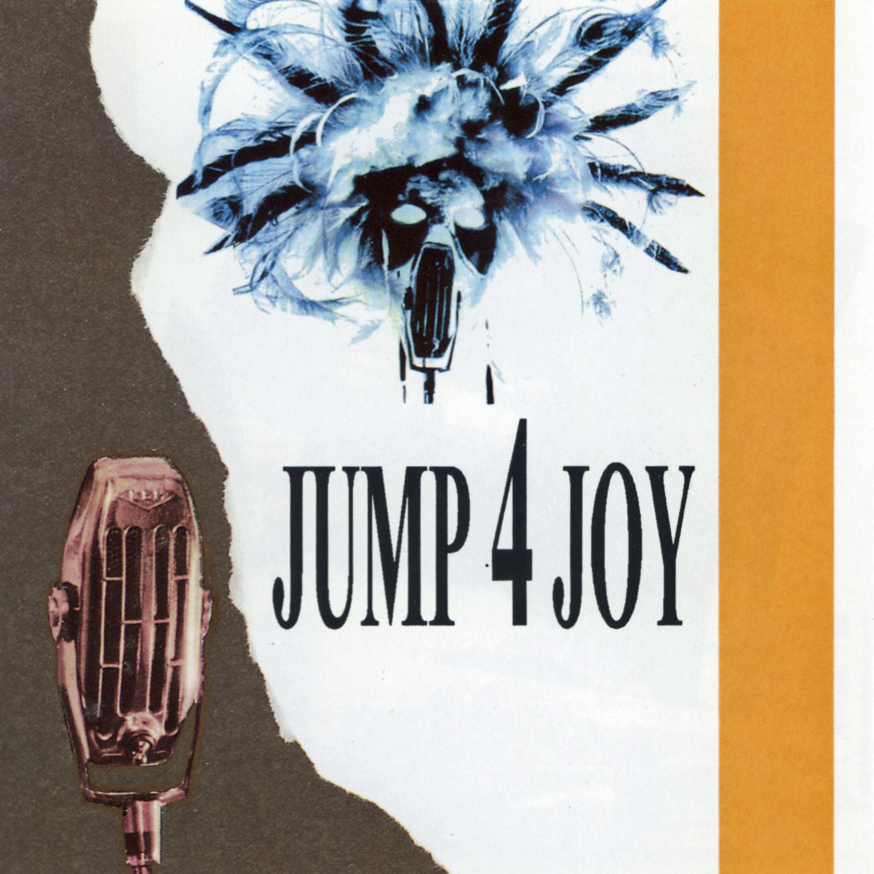 Постер альбома Jump 4 Joy