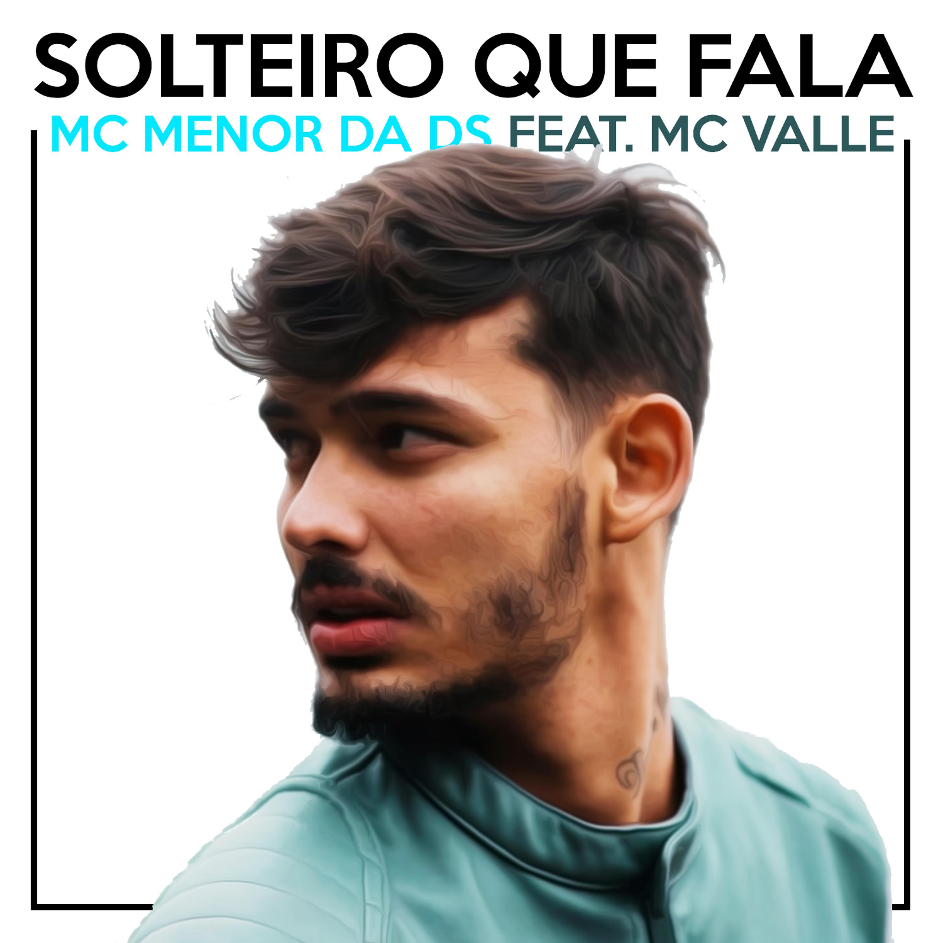 Постер альбома Solteiro Que Fala