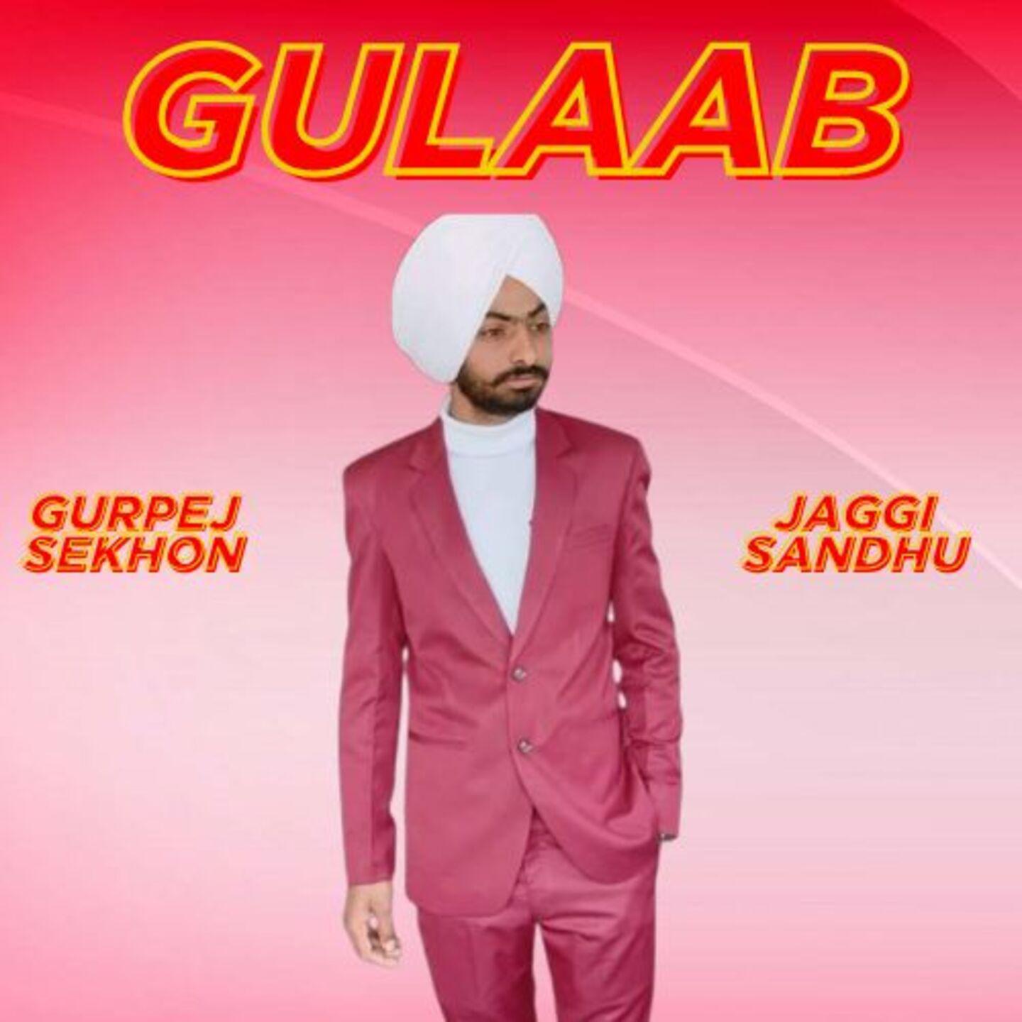 Постер альбома Gulaab