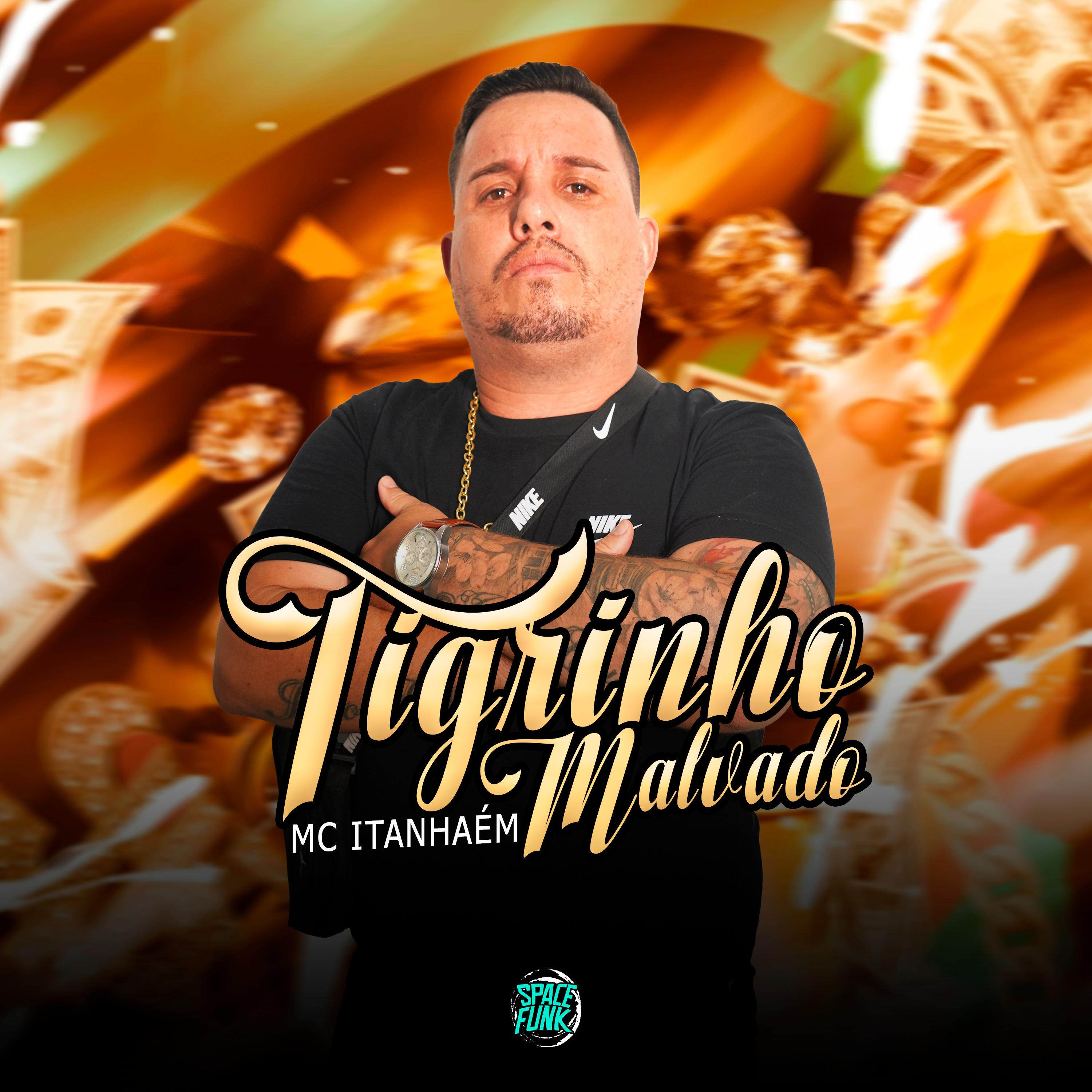 Постер альбома Tigrinho Malvadão