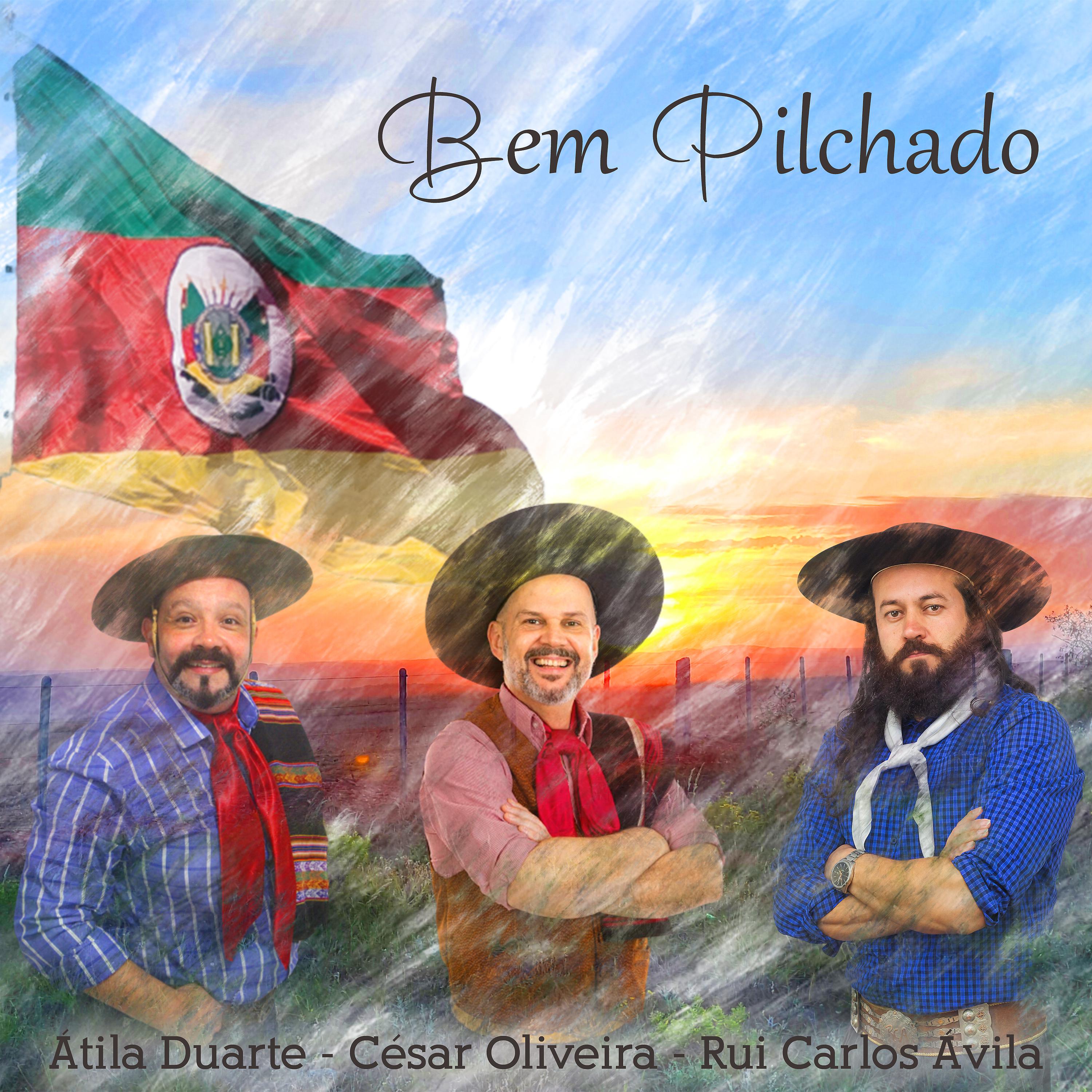 Постер альбома Bem Pilchado
