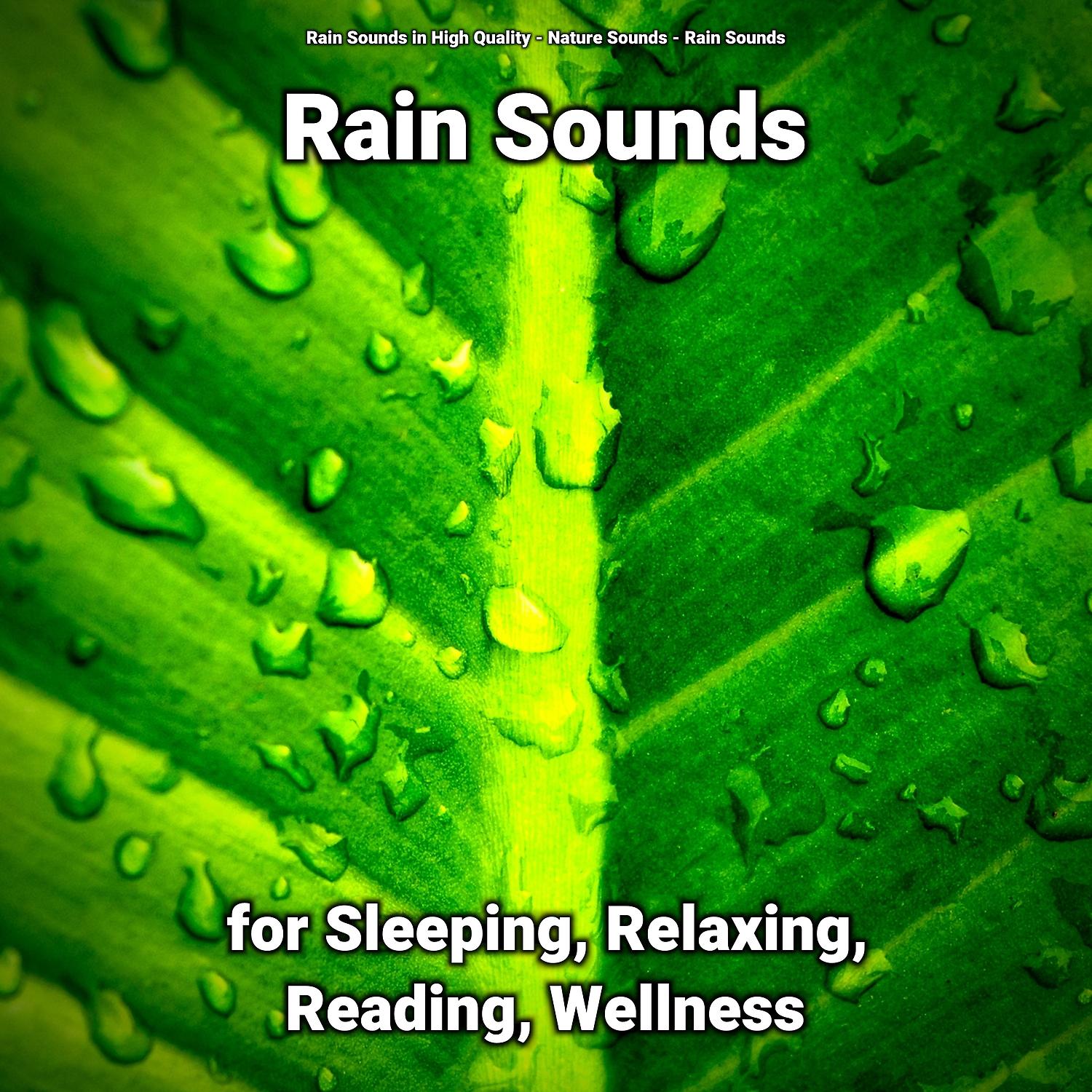 Постер альбома Rain Sounds for Sleeping, Relaxing, Reading, Wellness