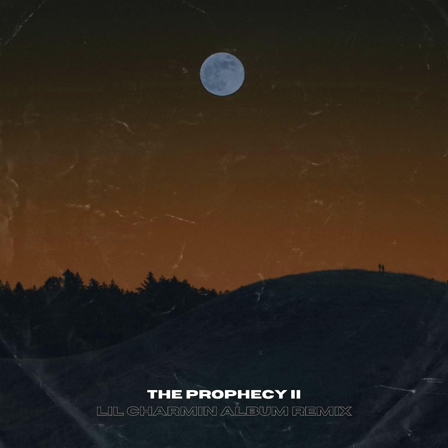 Постер альбома The Prophecy Pt II (Lil Charmin Album Remix)