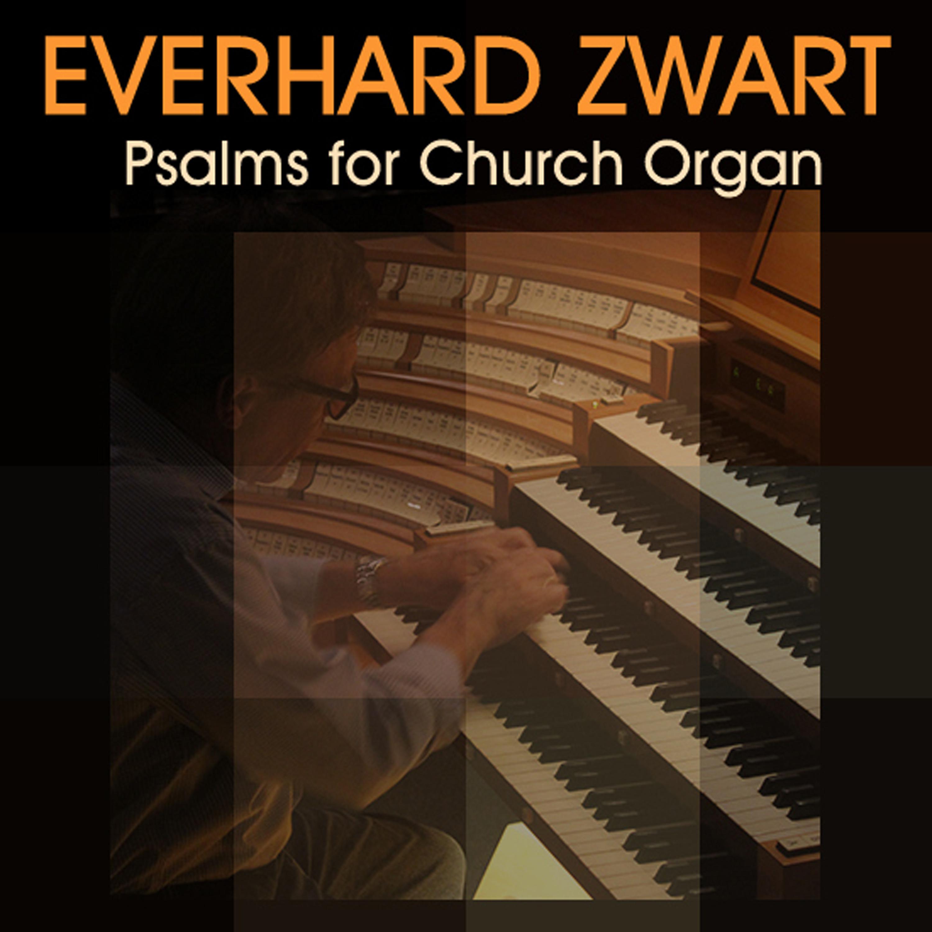 Постер альбома Psalms for Church Organ