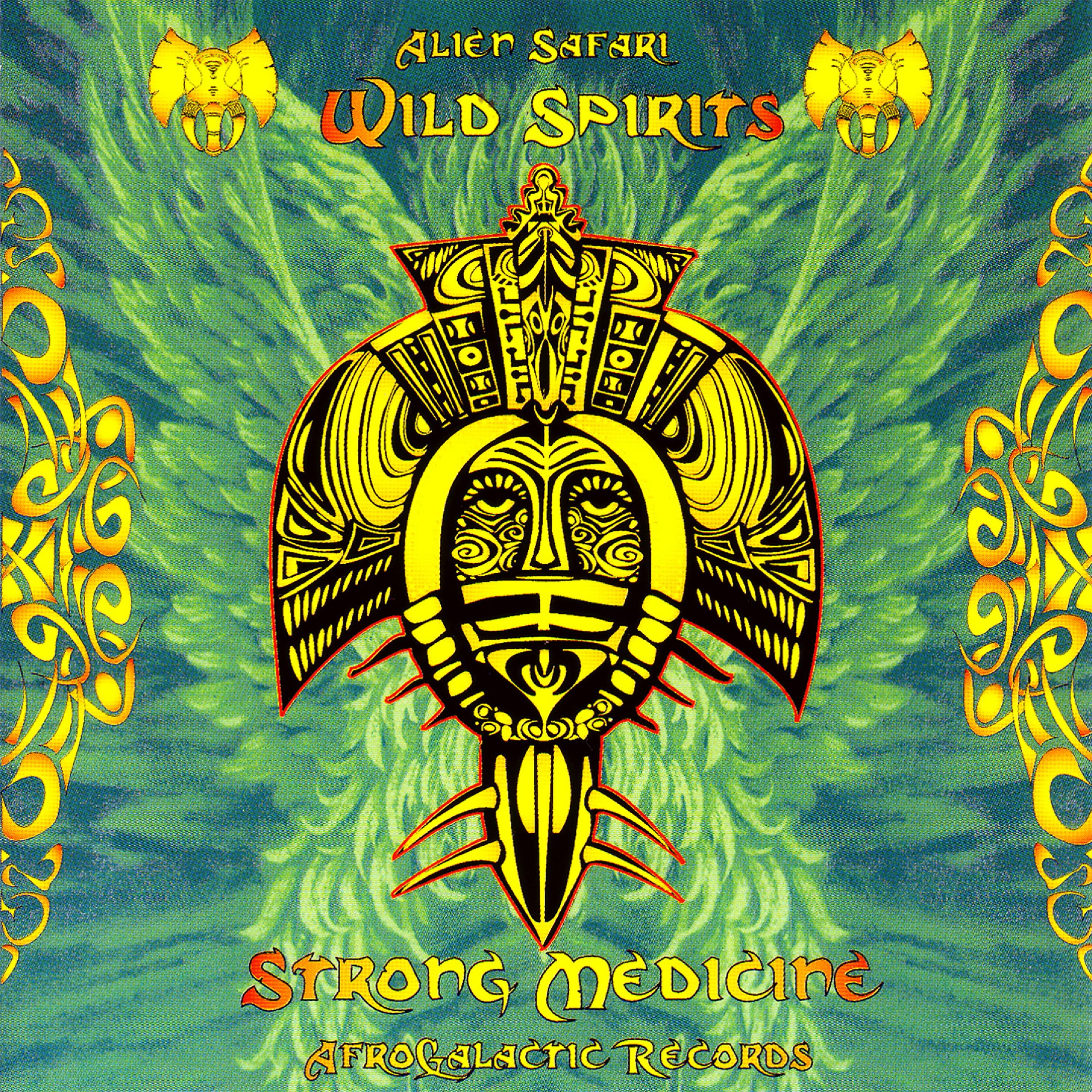 Постер альбома Wild Spirits, Strong Medicine
