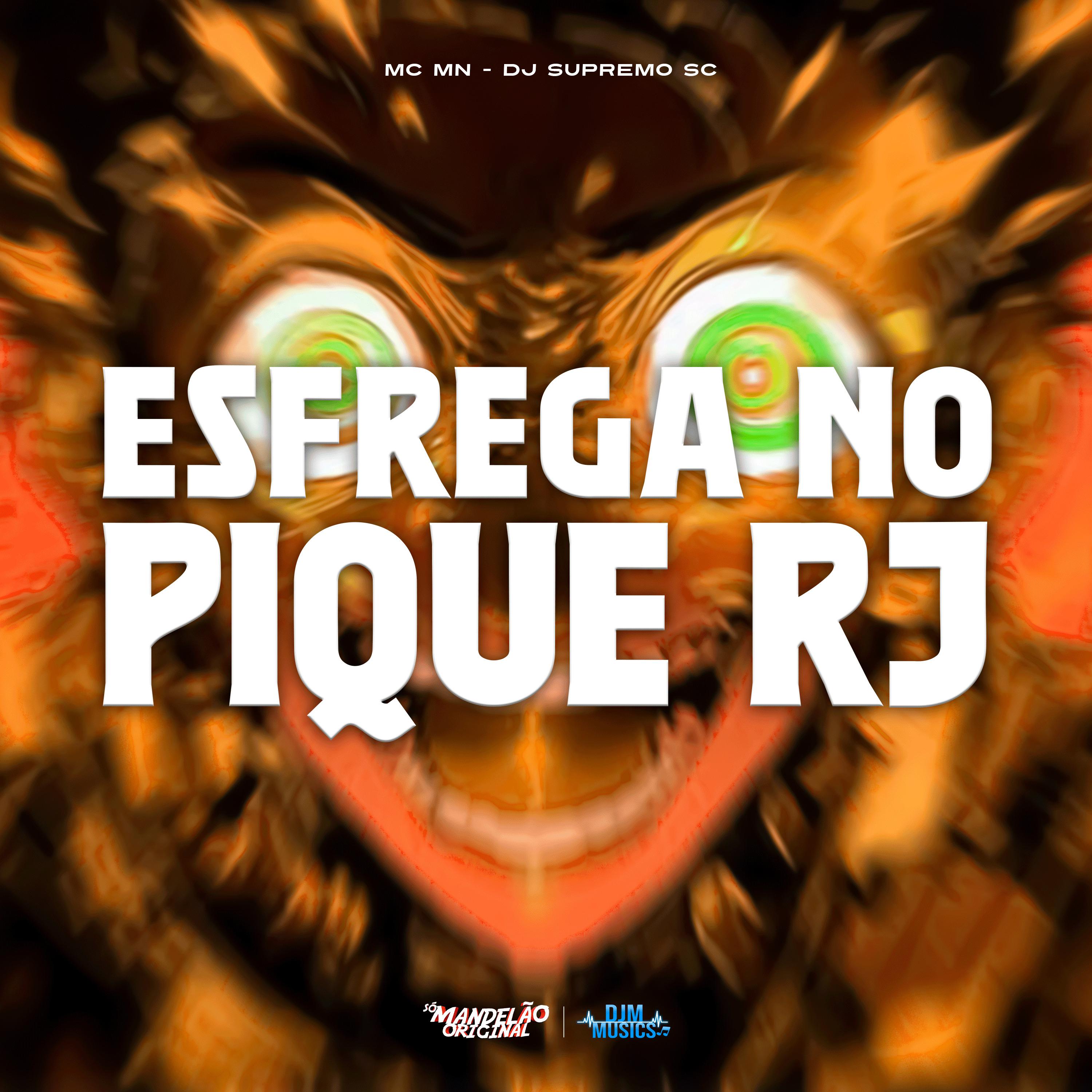Постер альбома Esfrega no Pique Rj