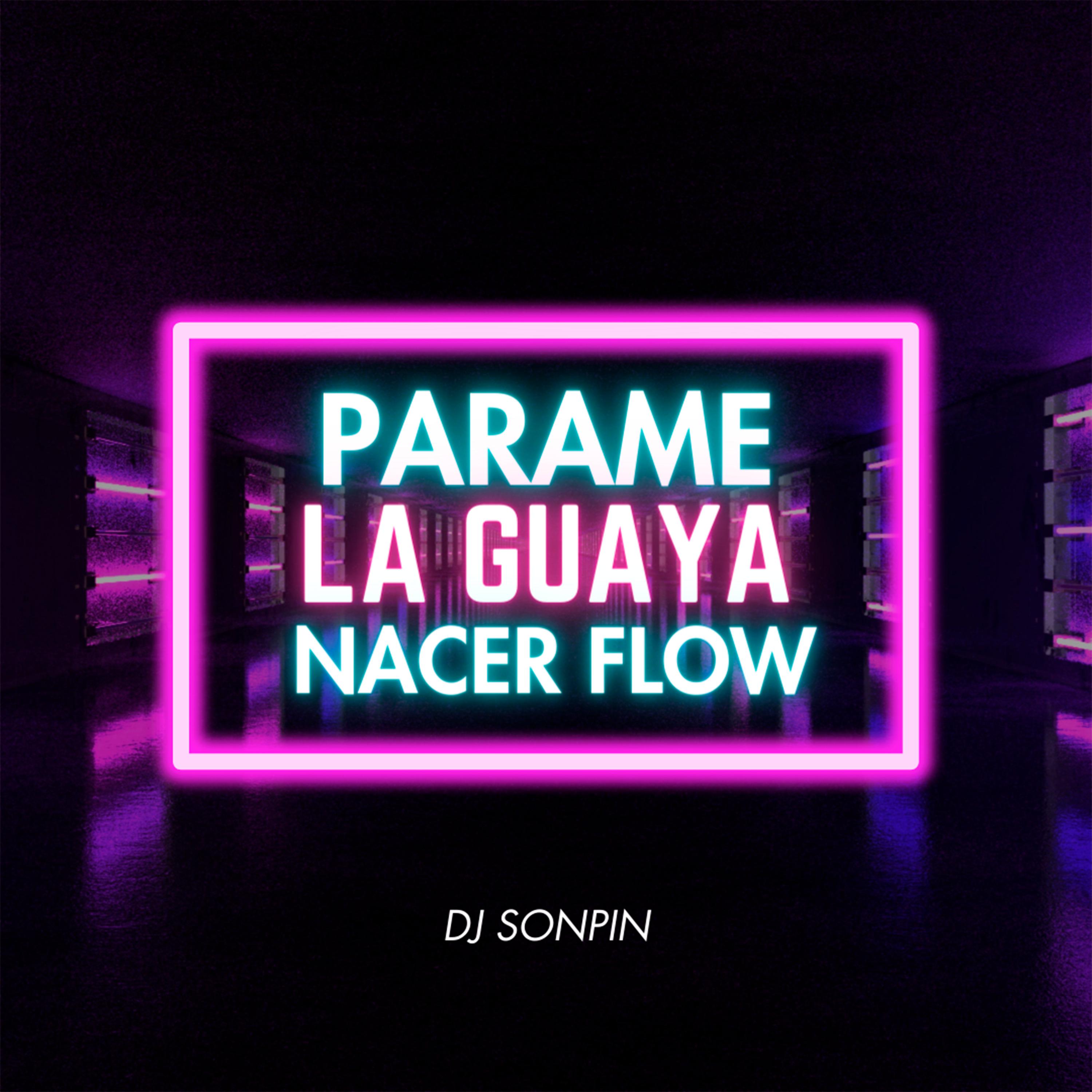 Постер альбома Parame la Guaya Nacer Flow