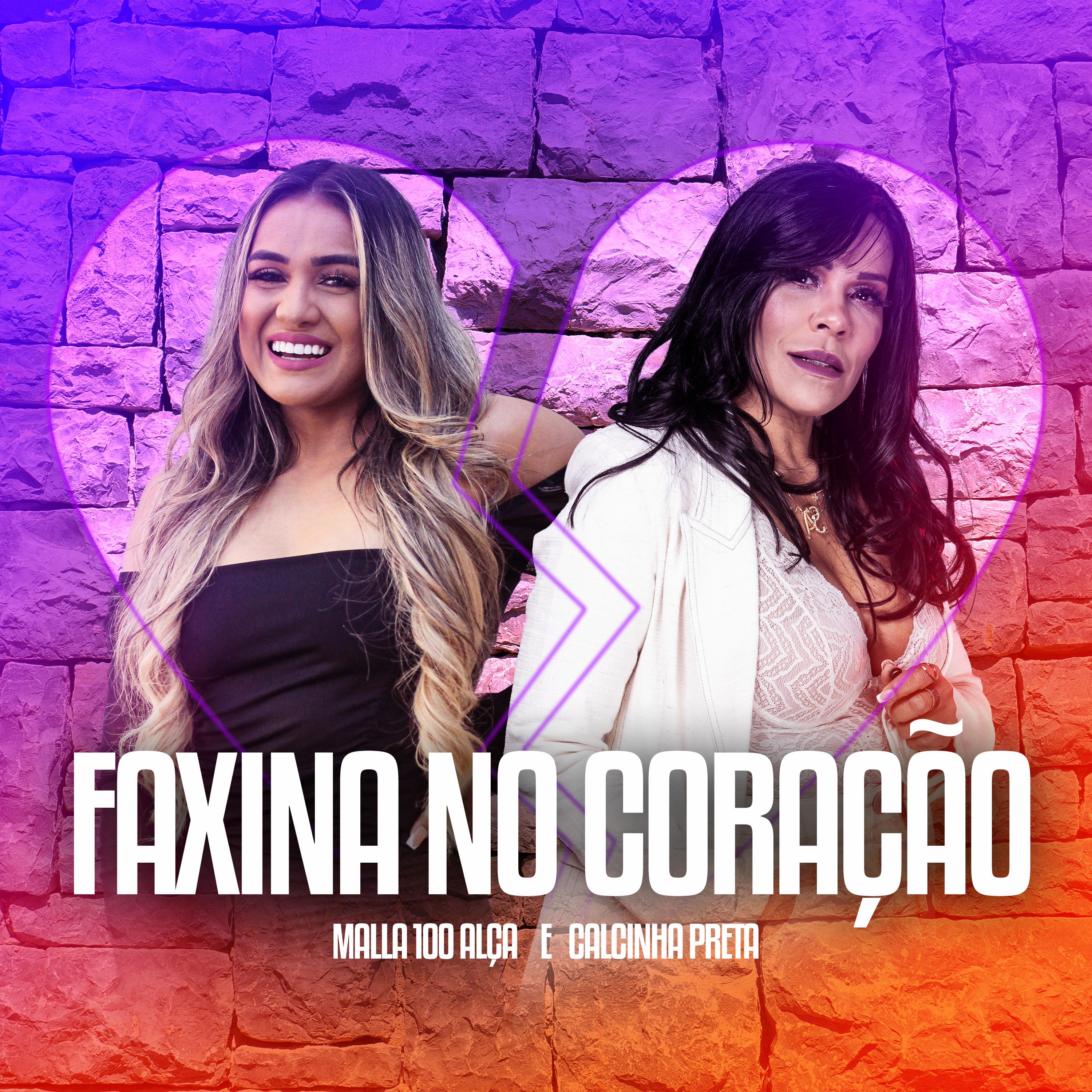 Постер альбома Faxina no Coração