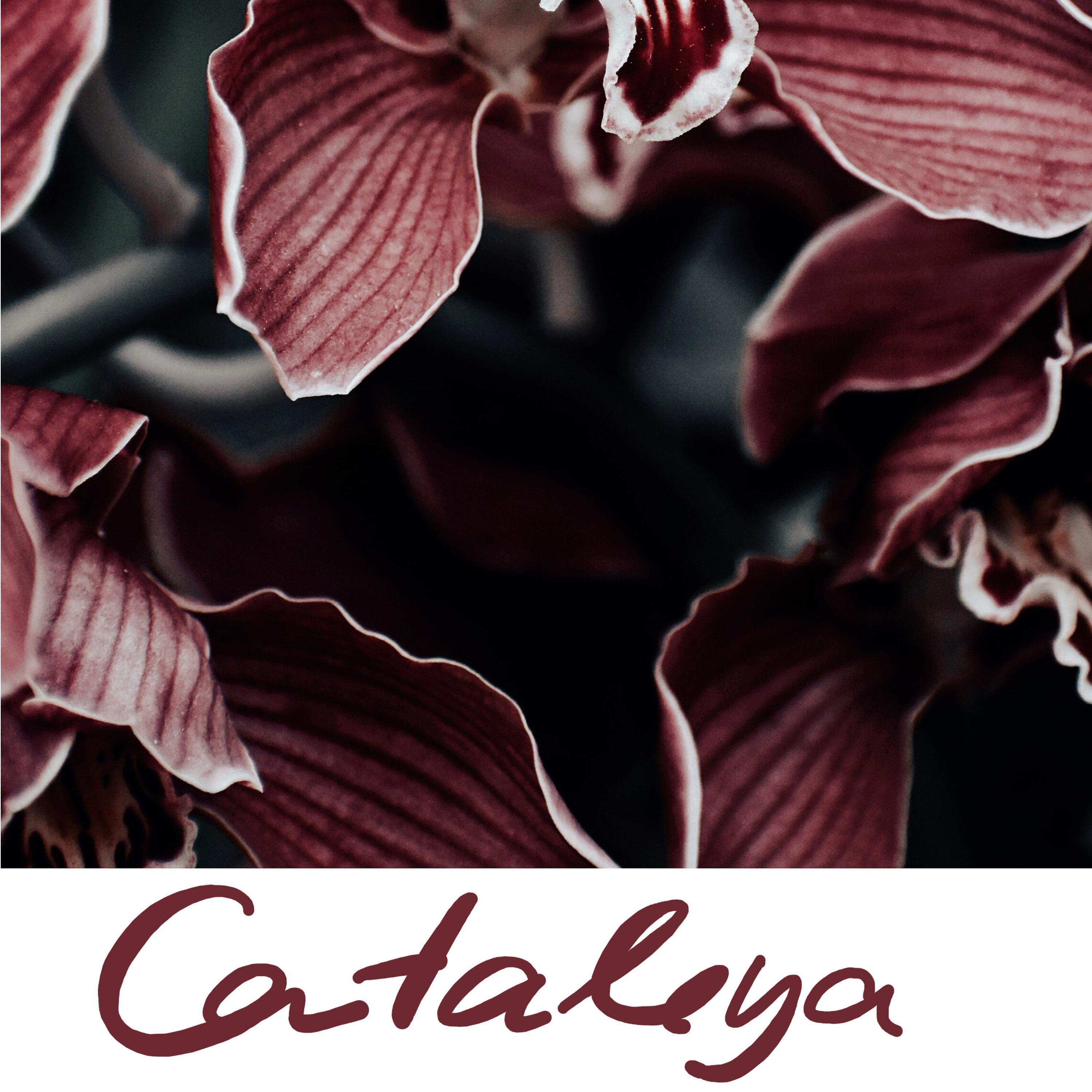 Постер альбома Cataleya