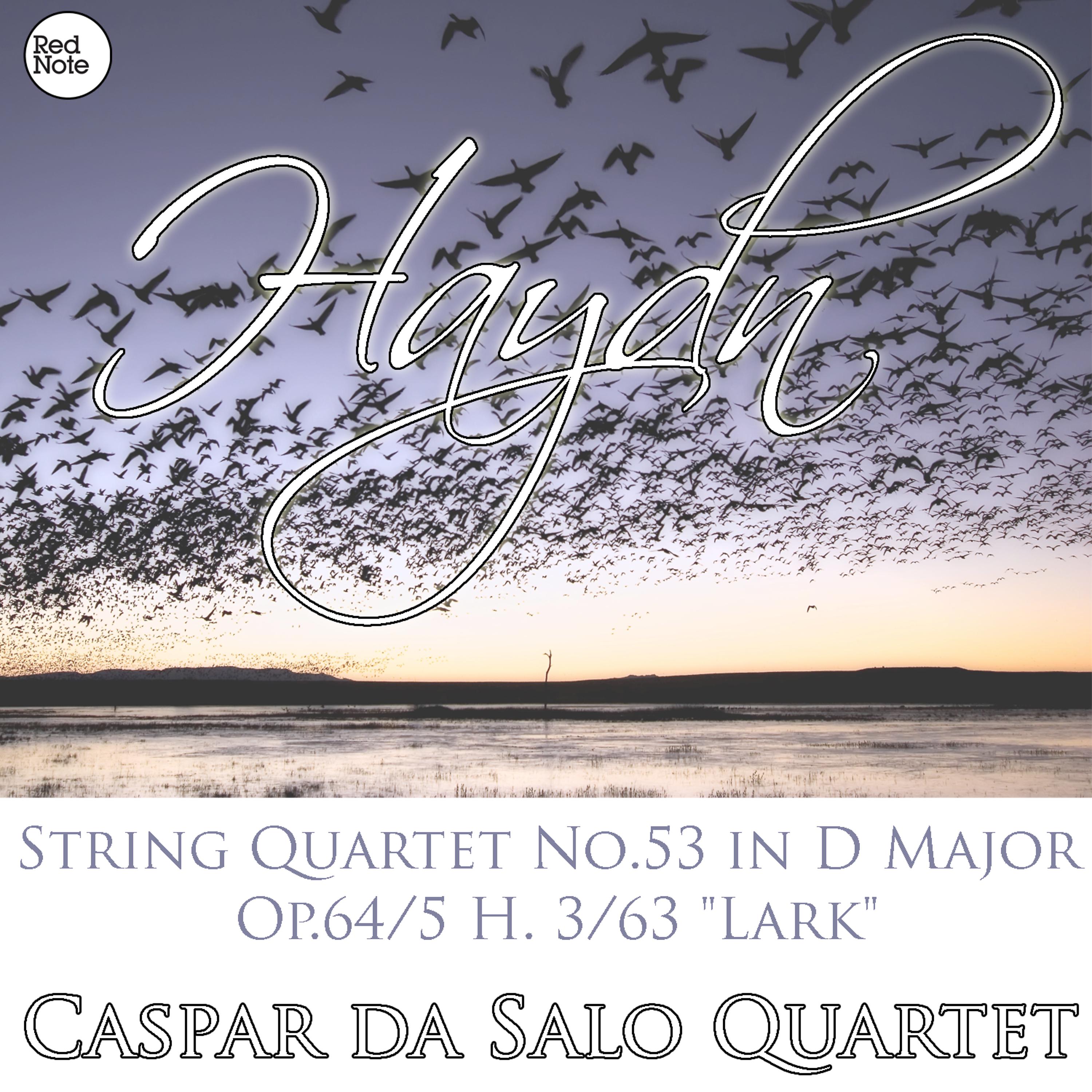 Постер альбома Haydn: String Quartet No.53 in D Major Op.64/5 H. 3/63 "Lark"