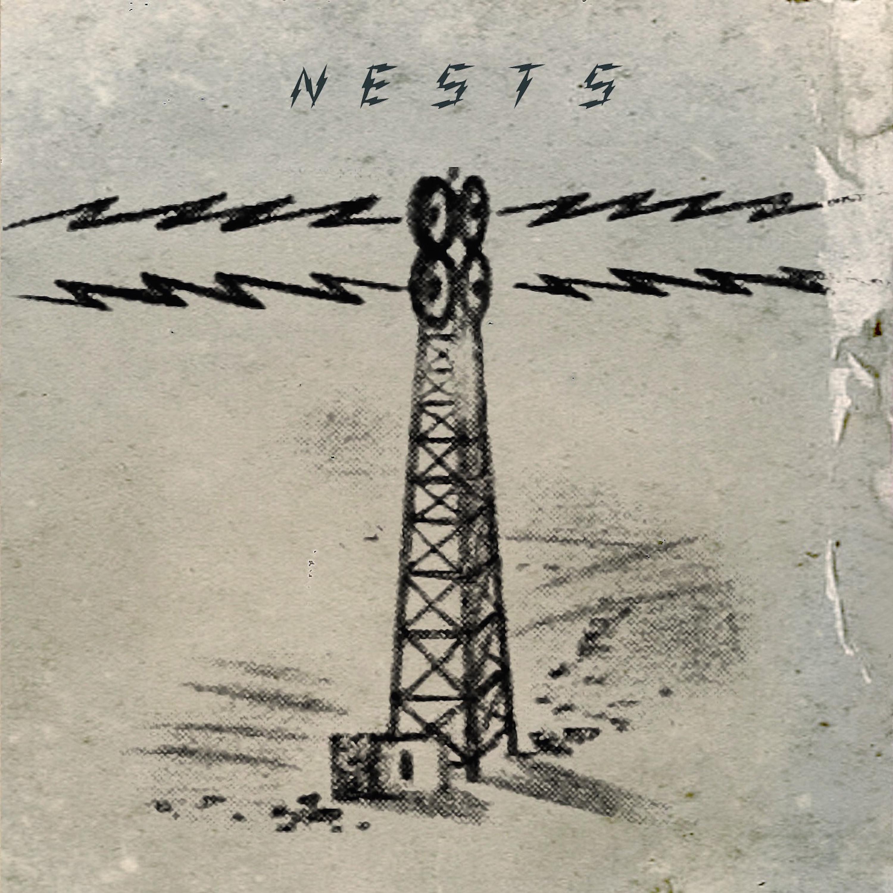 Постер альбома Nests