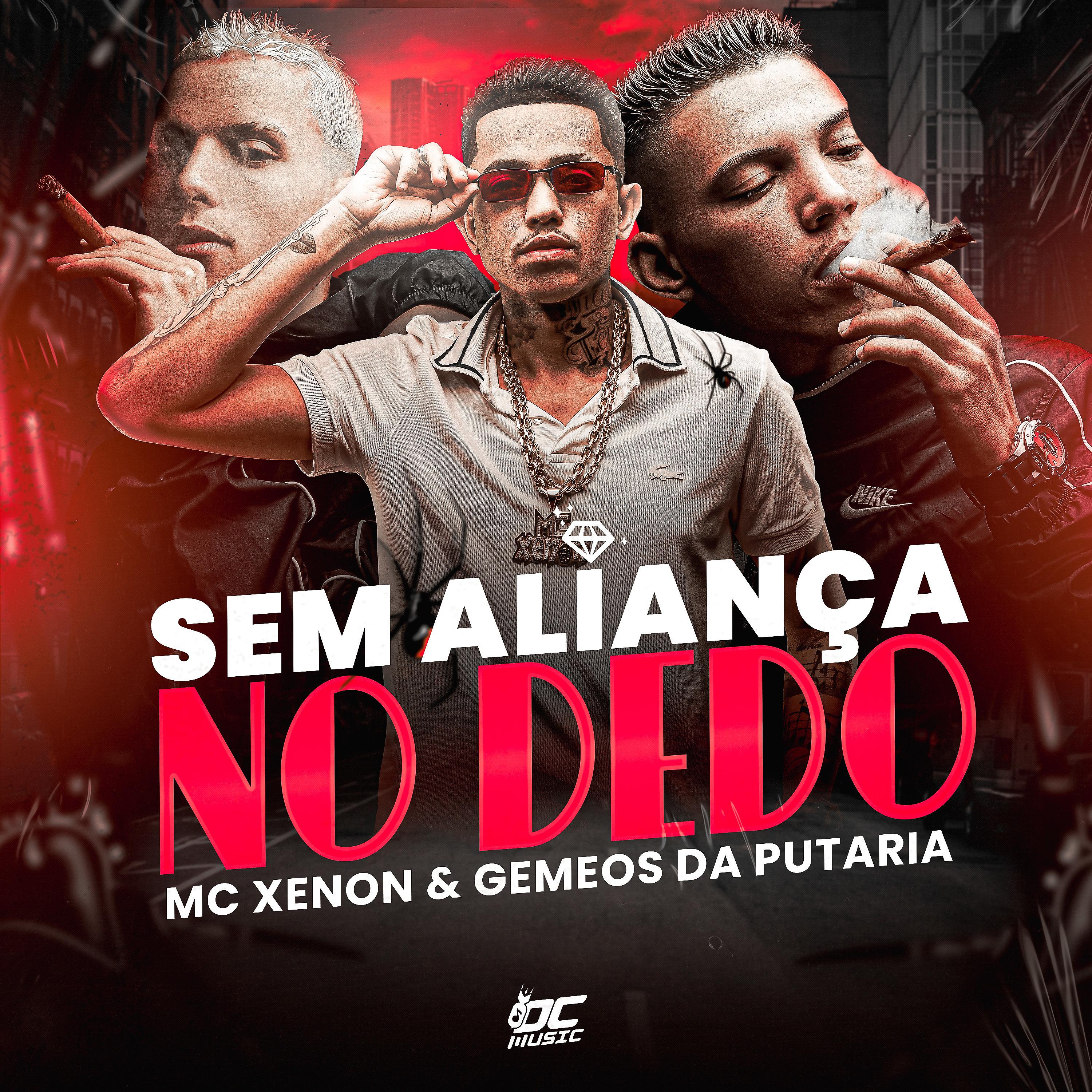 Постер альбома Sem Aliança no Dedo