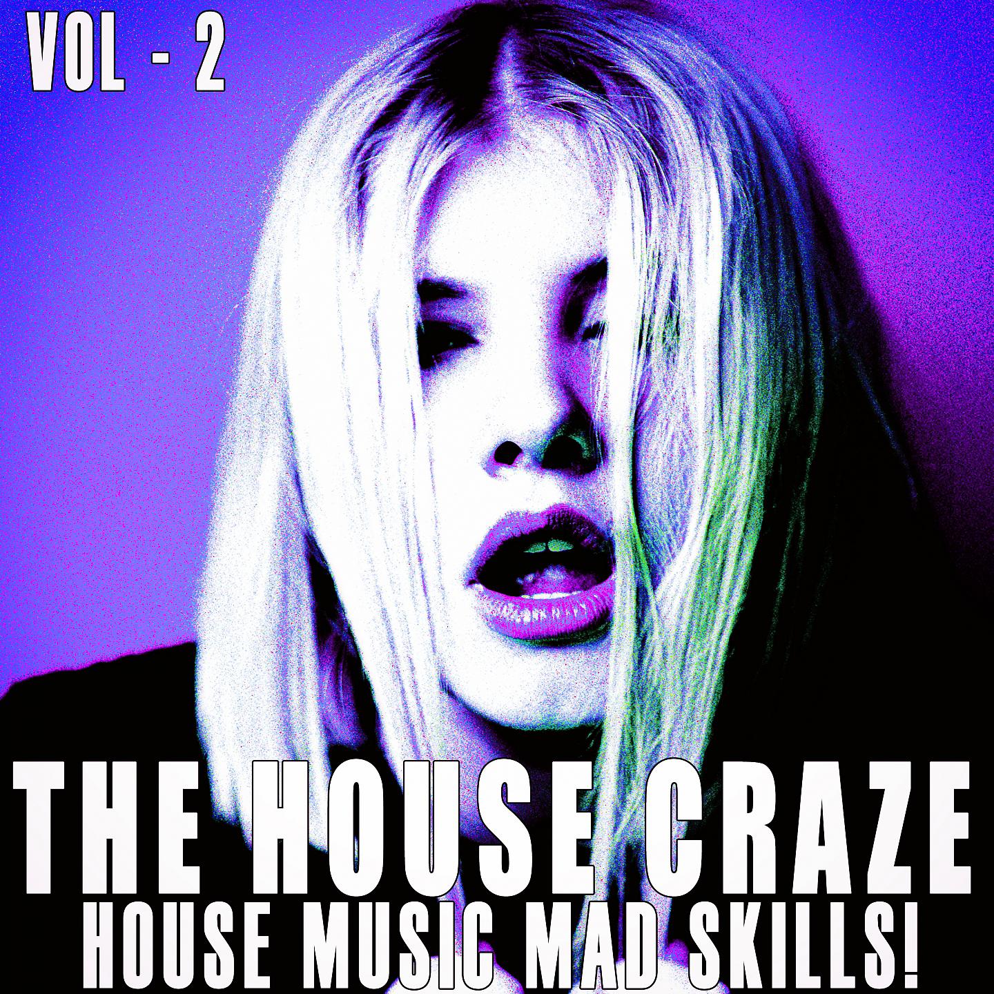 Постер альбома The House Craze -, Vol. 2