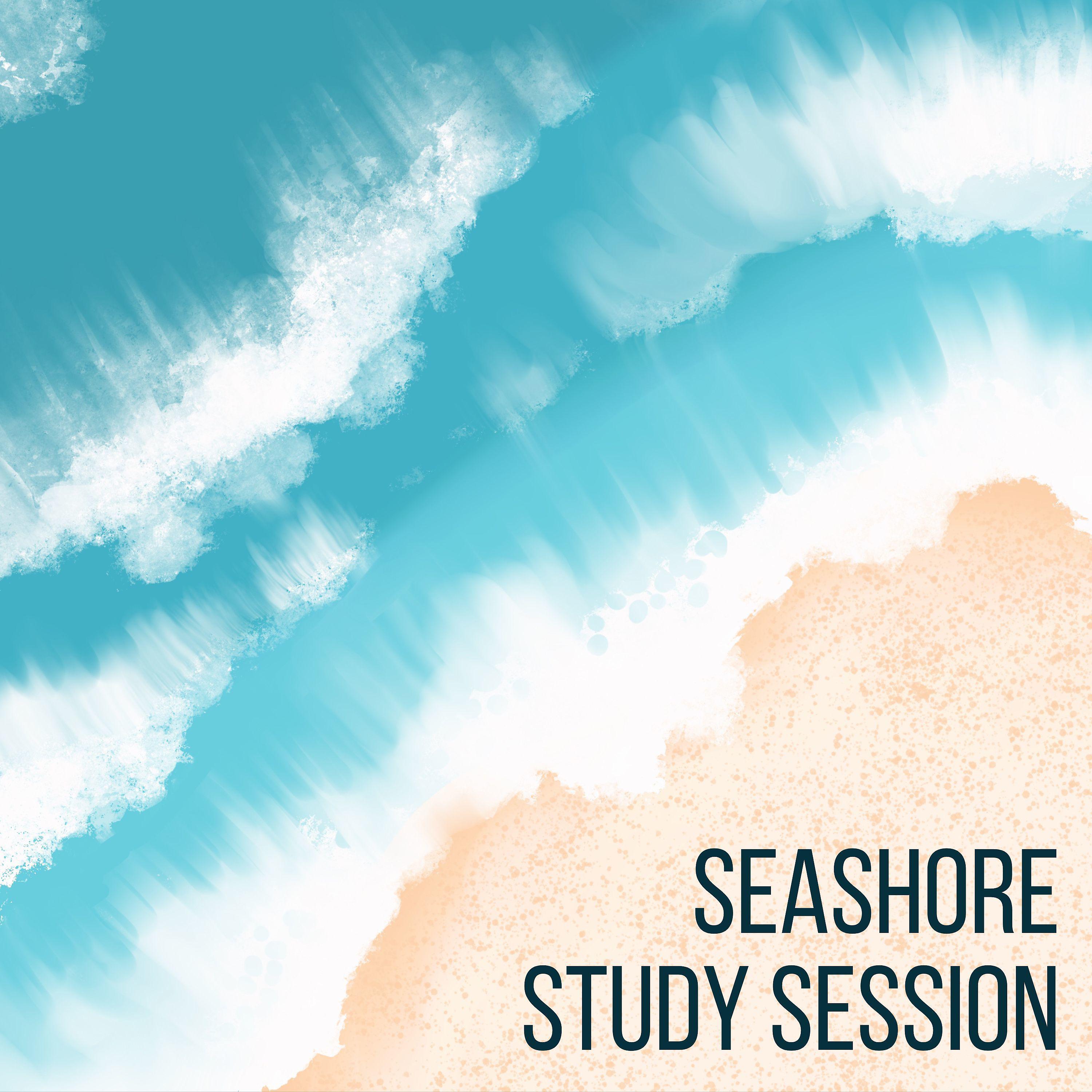 Постер альбома Seashore Study Session