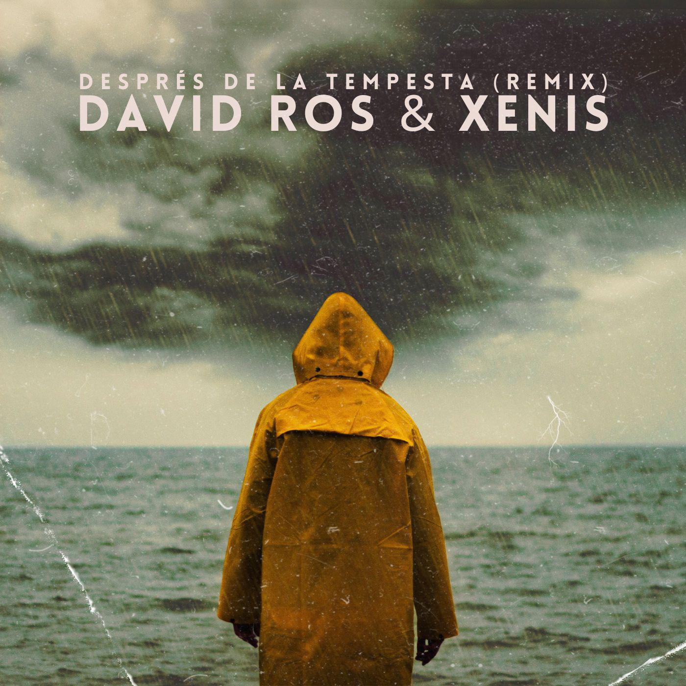 Постер альбома Després de la Tempesta