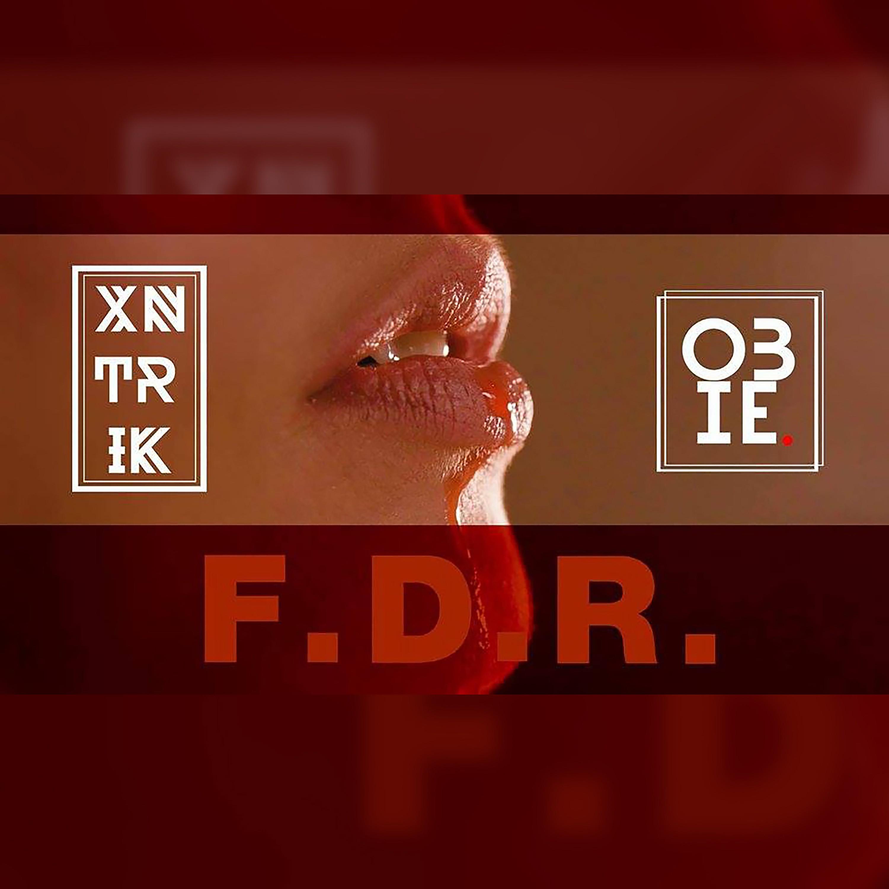 Постер альбома F.D.R. (Feel da Rhythm)