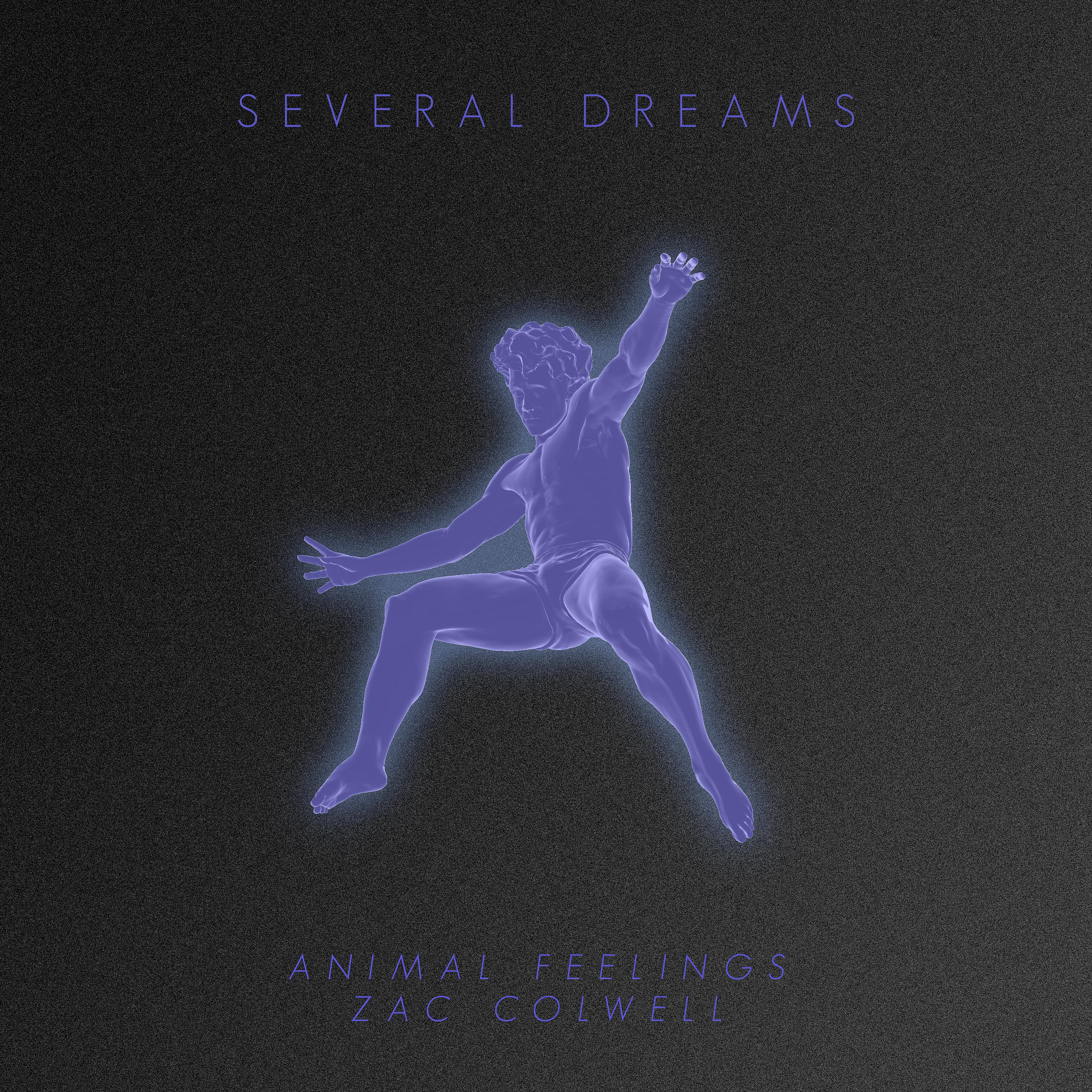 Постер альбома Several Dreams