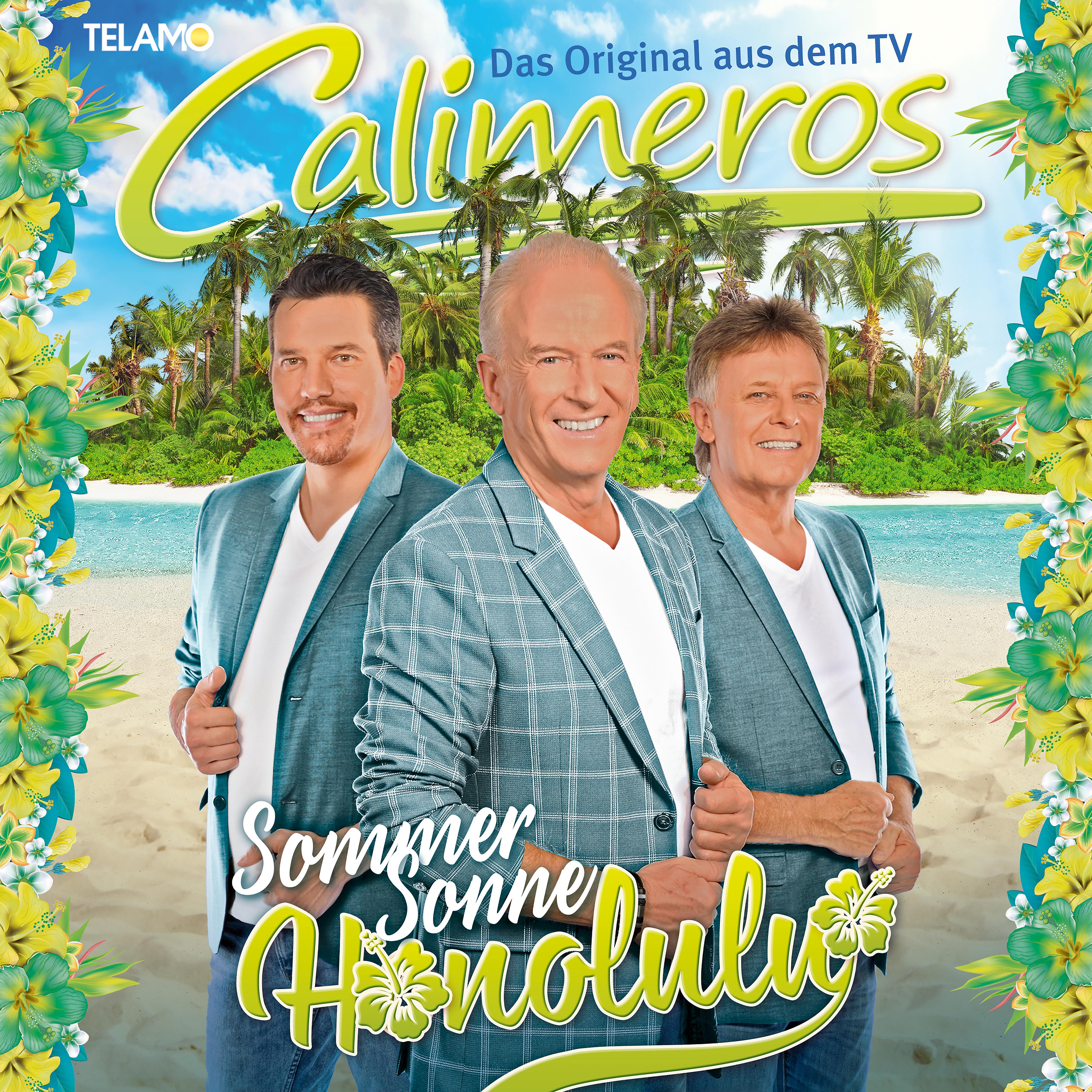 Постер альбома Sommer, Sonne, Honolulu