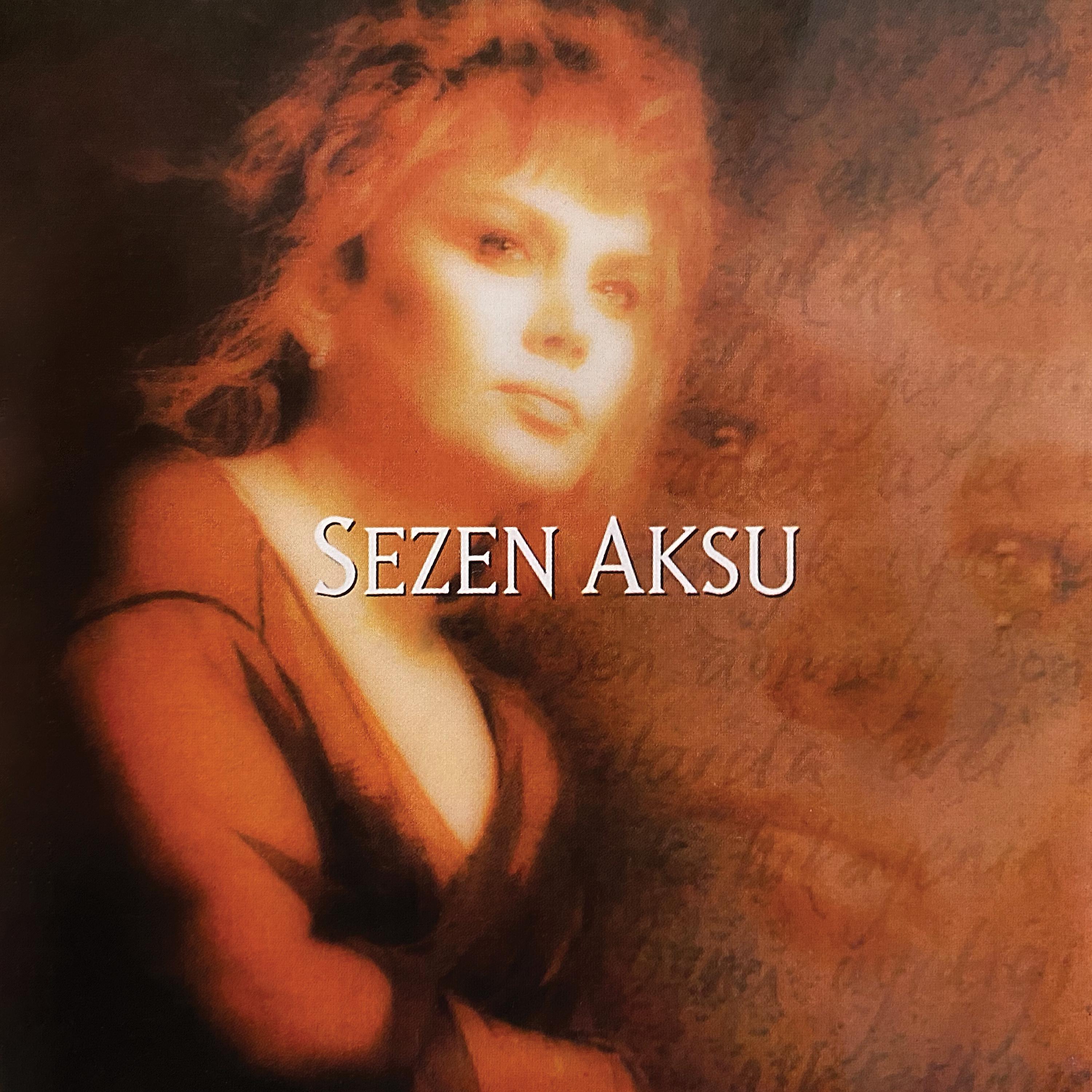 Постер альбома Erkek Güzeli