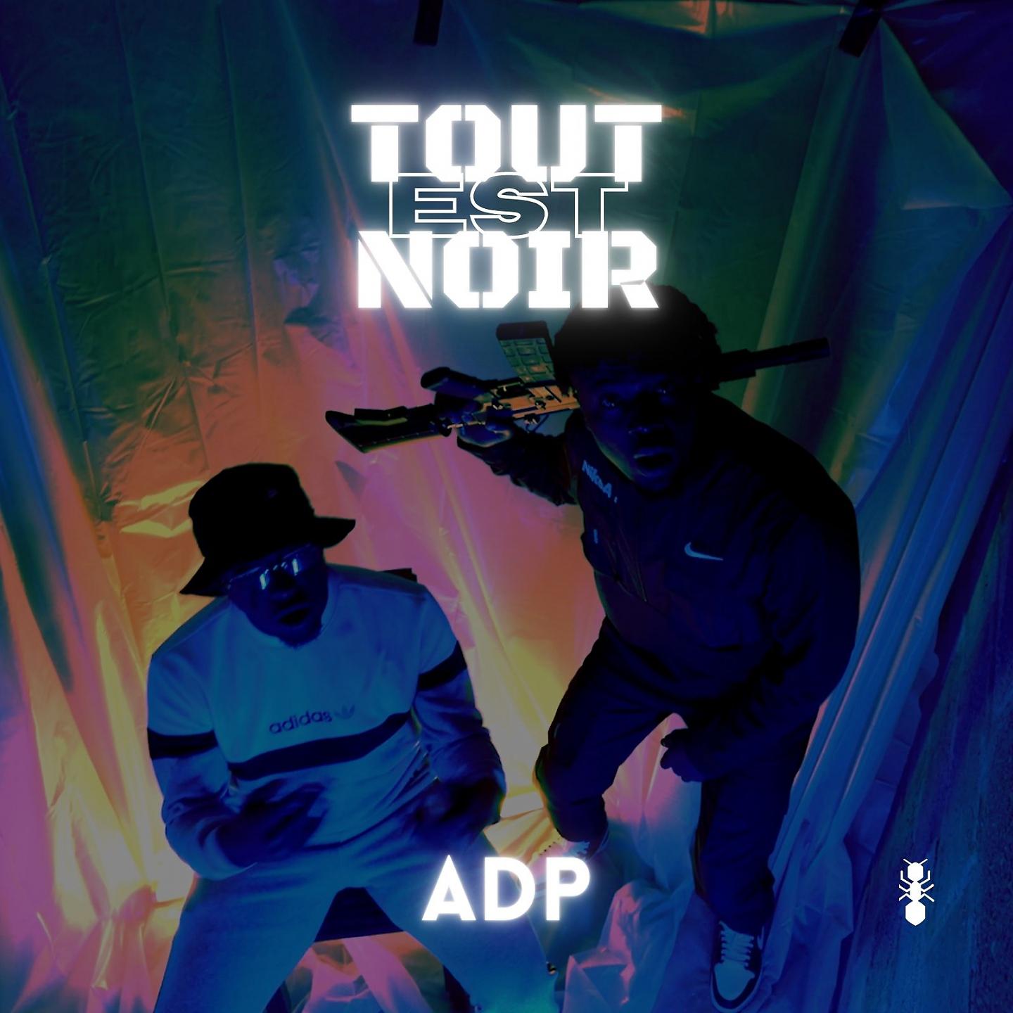 Постер альбома Tout est noir