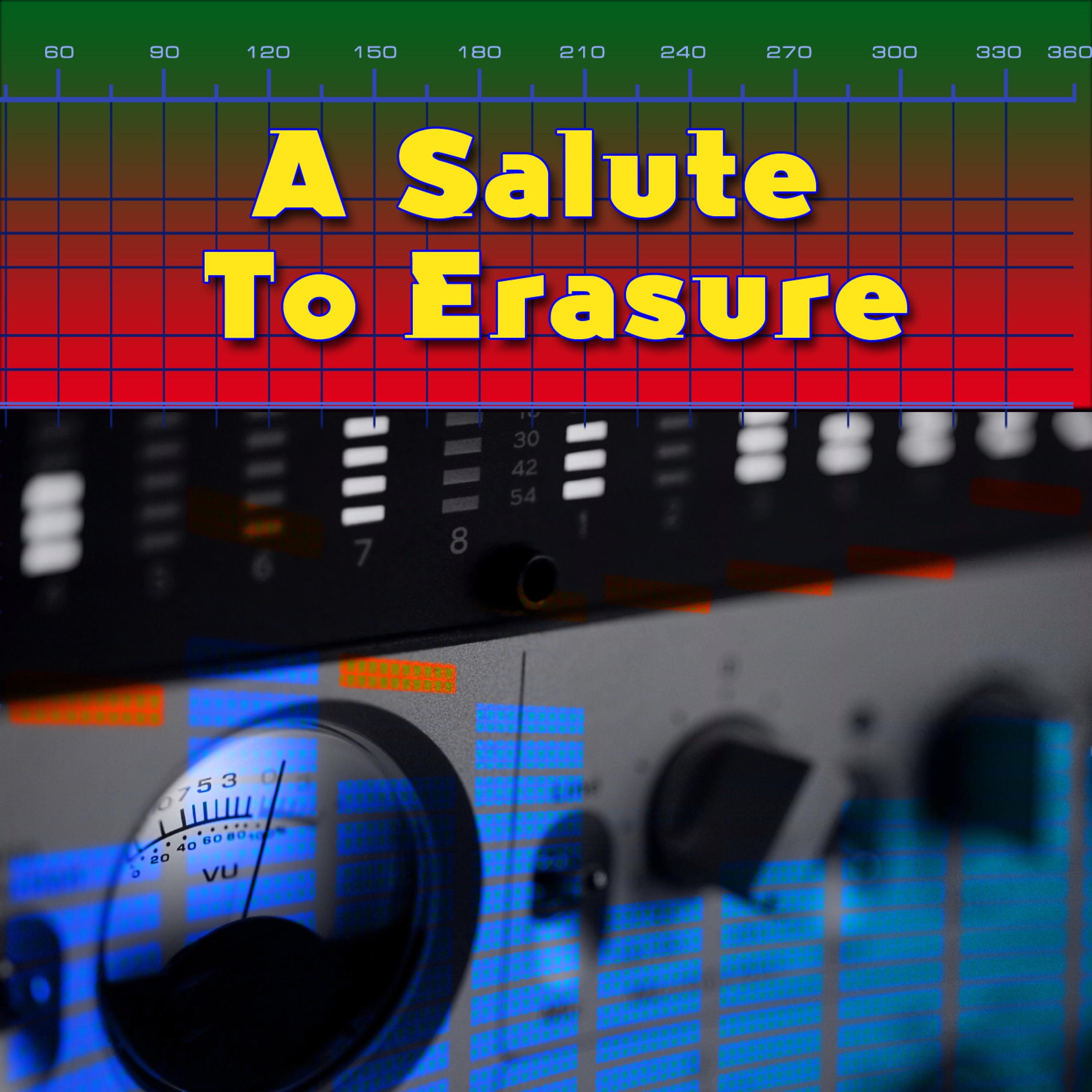 Постер альбома A Salute To Erasure