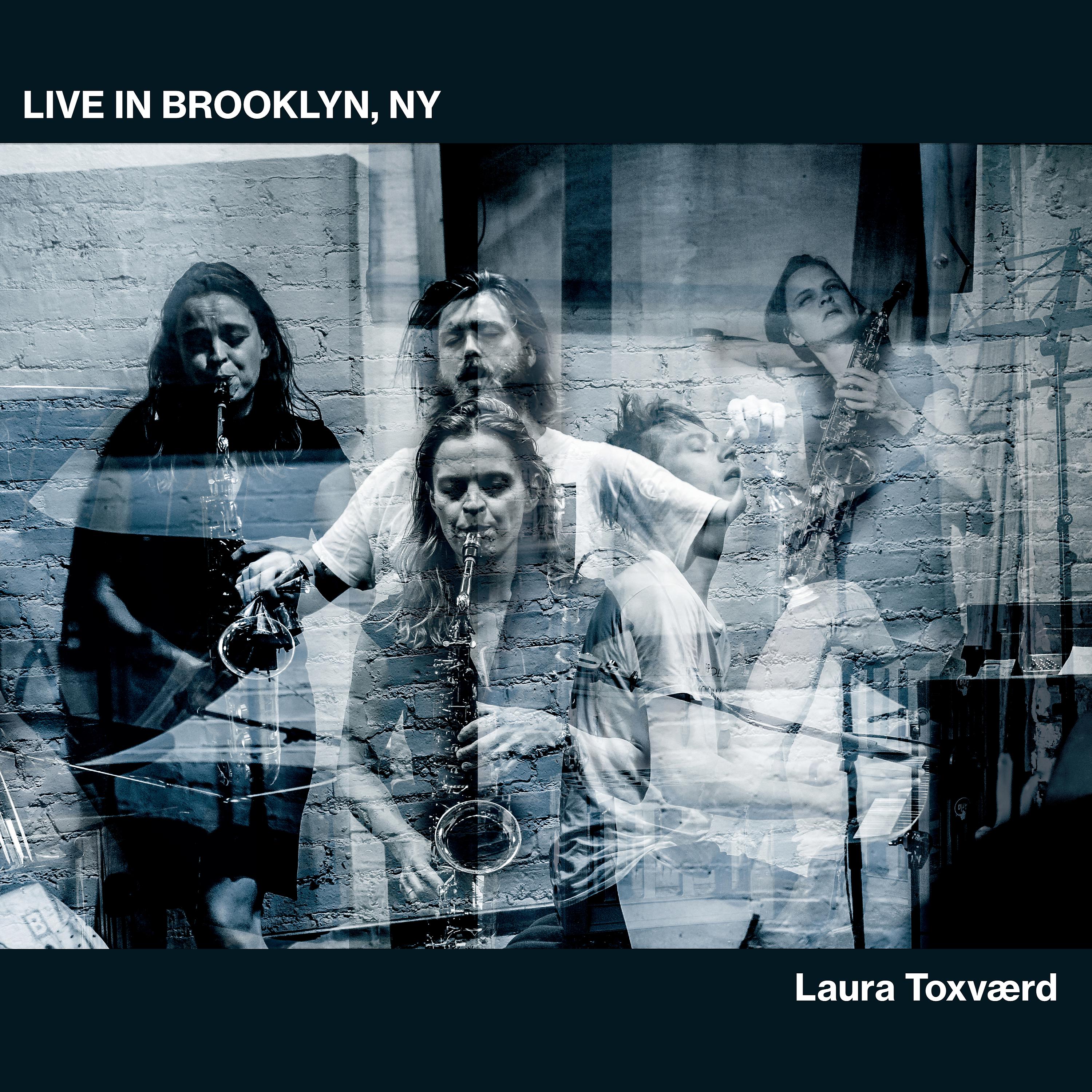 Постер альбома Live in Brooklyn, NY