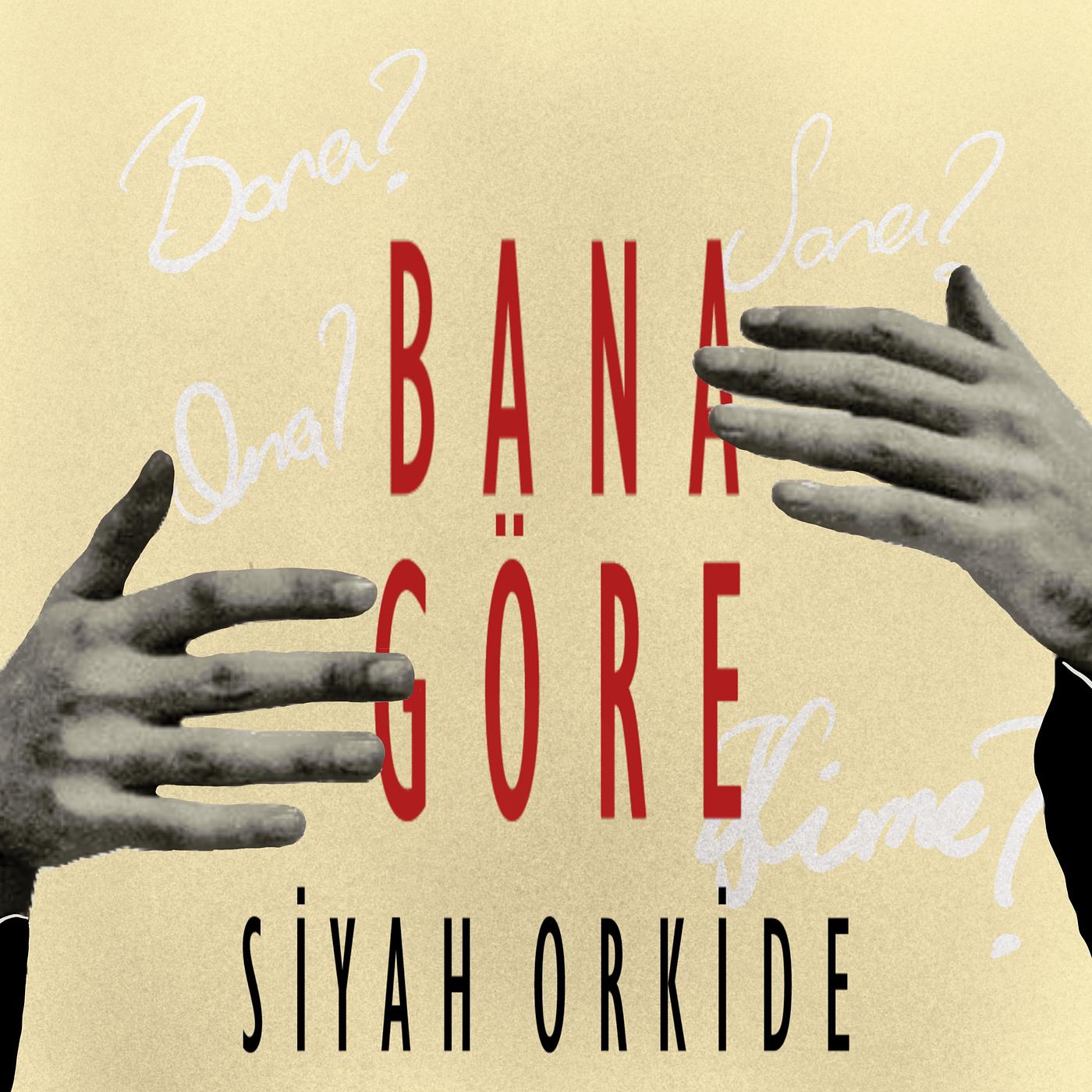 Постер альбома Bana Göre