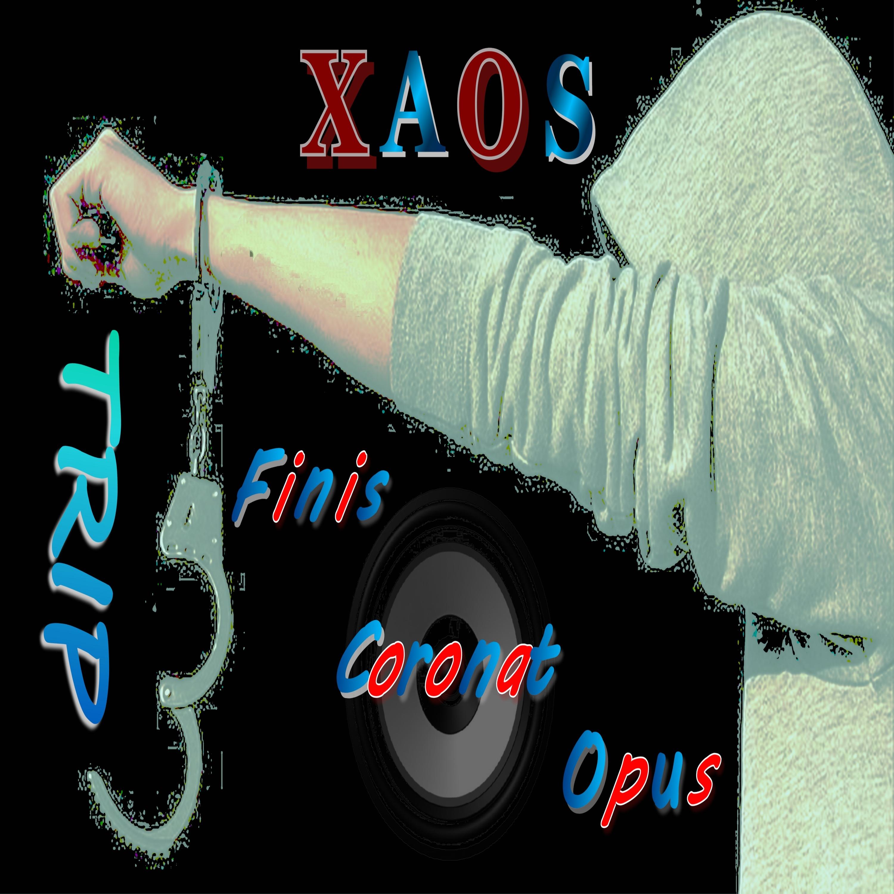 Постер альбома Finis Coronat Opus