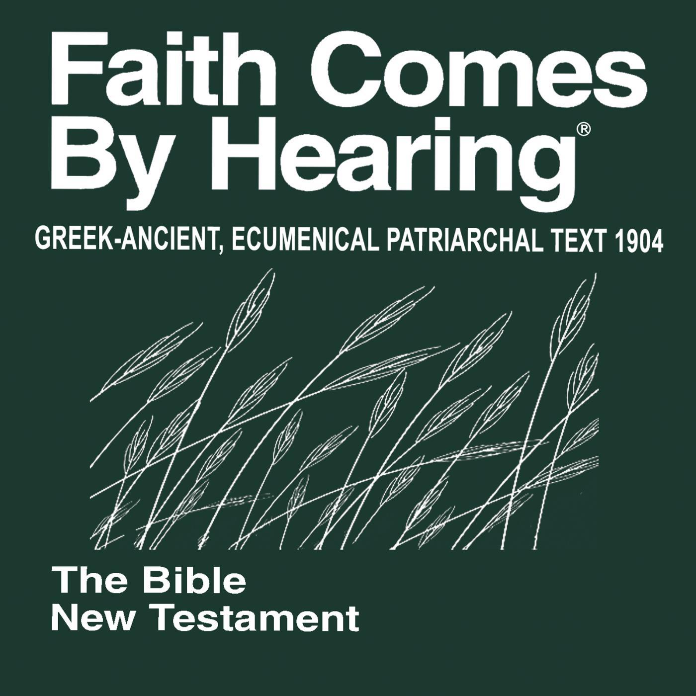 Постер альбома Greek-Ancient New Testament (Non-Dramatized) 1904 Ecumenical Patriarchal Text