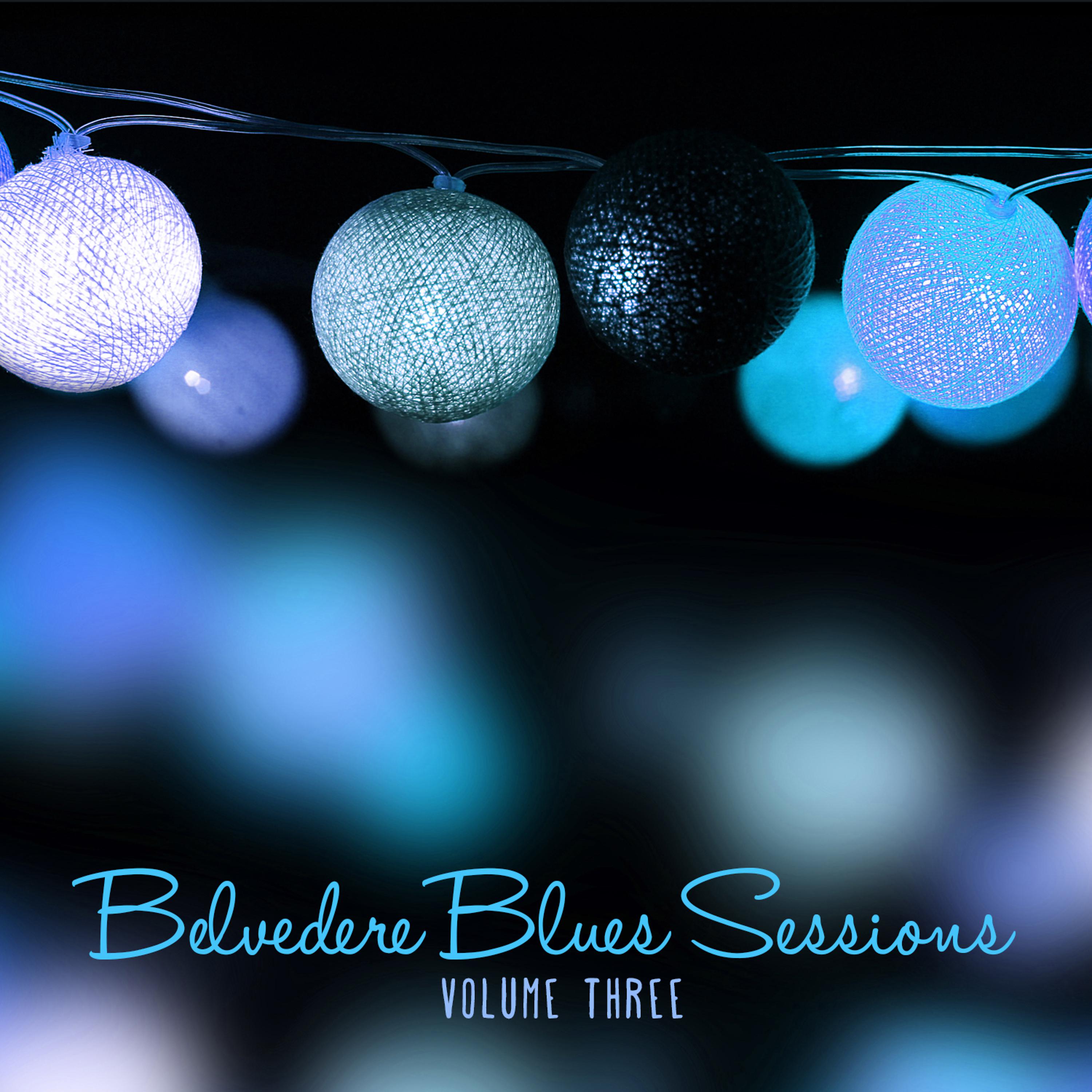 Постер альбома Belvedere Gardens: The Blues Sessions, Vol. 3