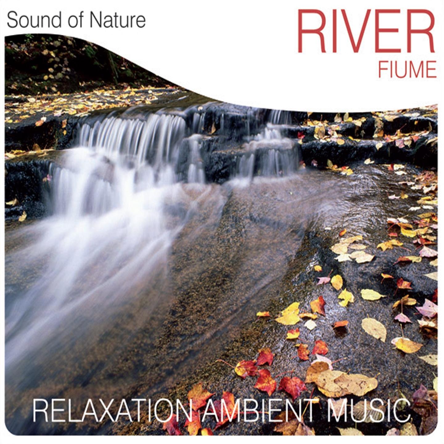 Постер альбома River (Fiume)