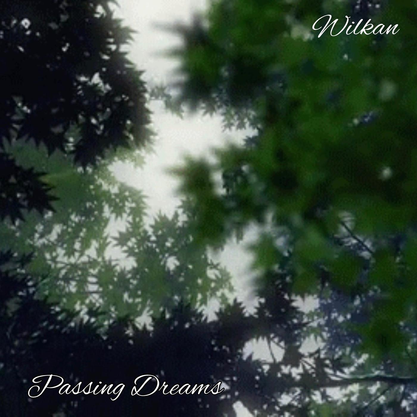 Постер альбома Passive Dreams