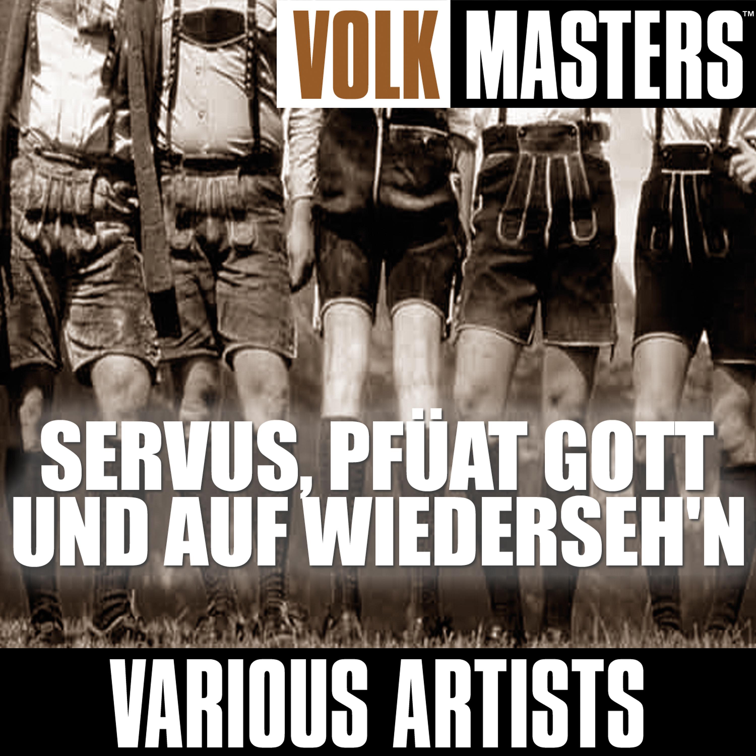 Постер альбома Volk Masters: "Servus, Pfüat Gott Und Auf Wiederseh'n"
