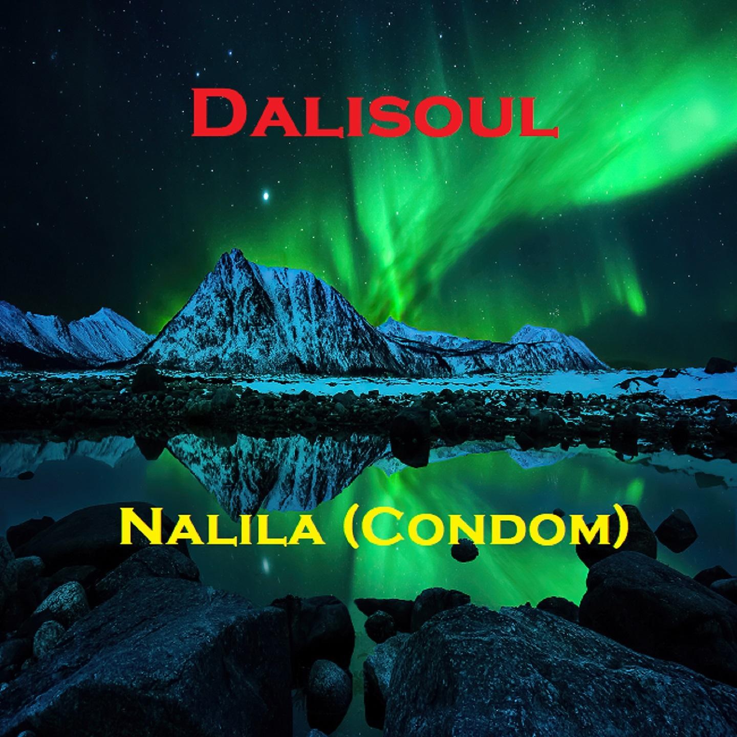 Постер альбома Nalila (Condom)