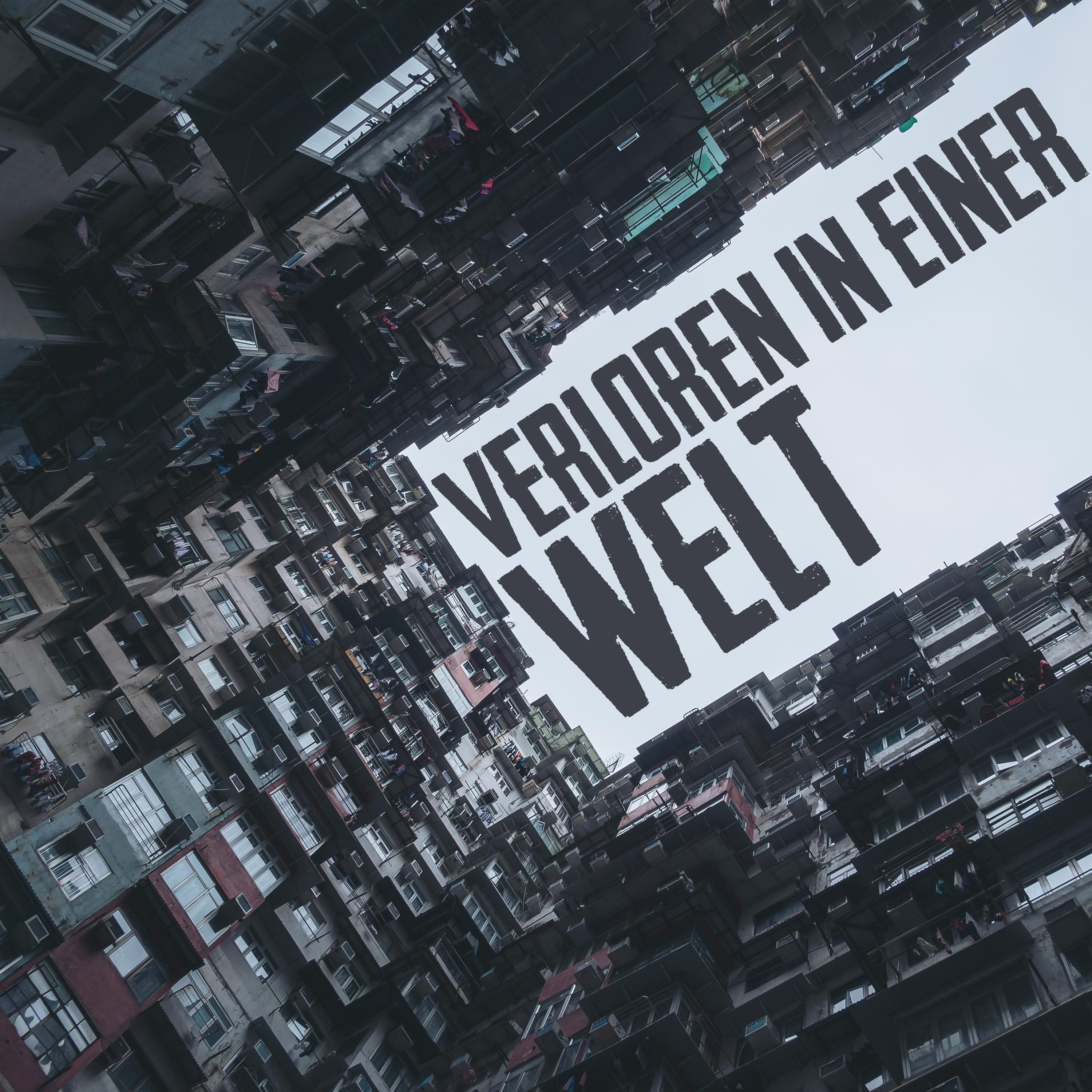 Постер альбома Verloren in einer Welt