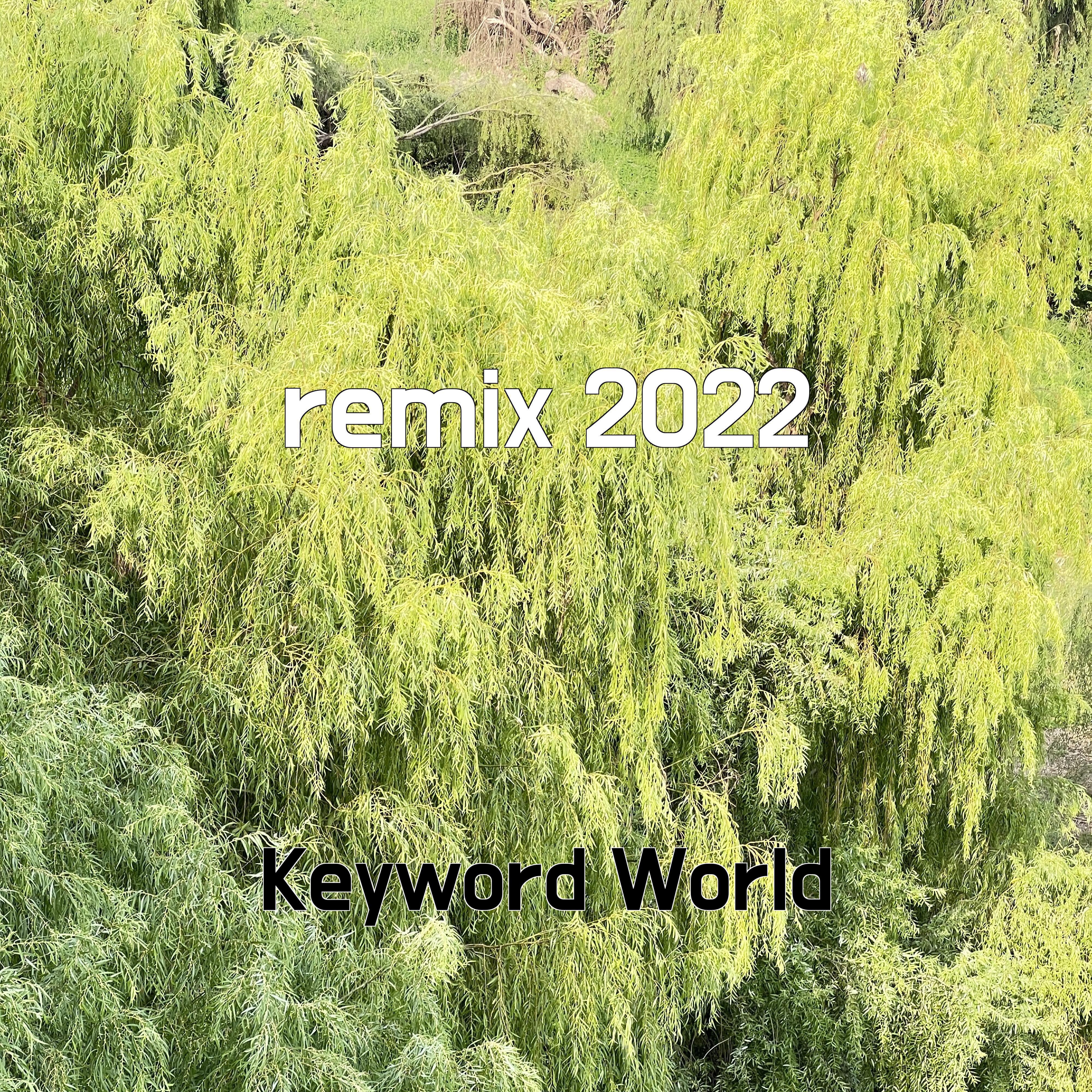 Постер альбома remix 2022