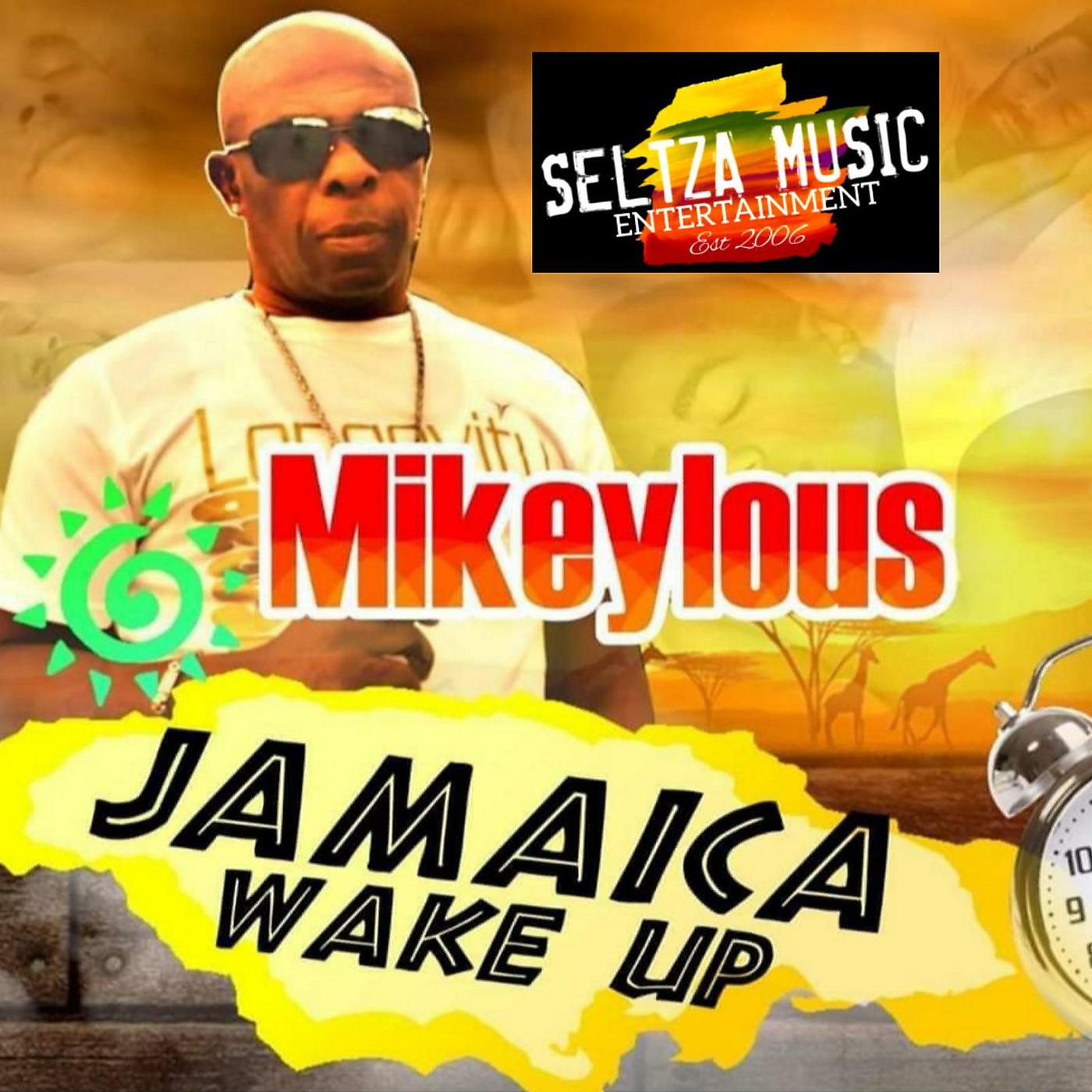 Постер альбома Jamaica Wake Up