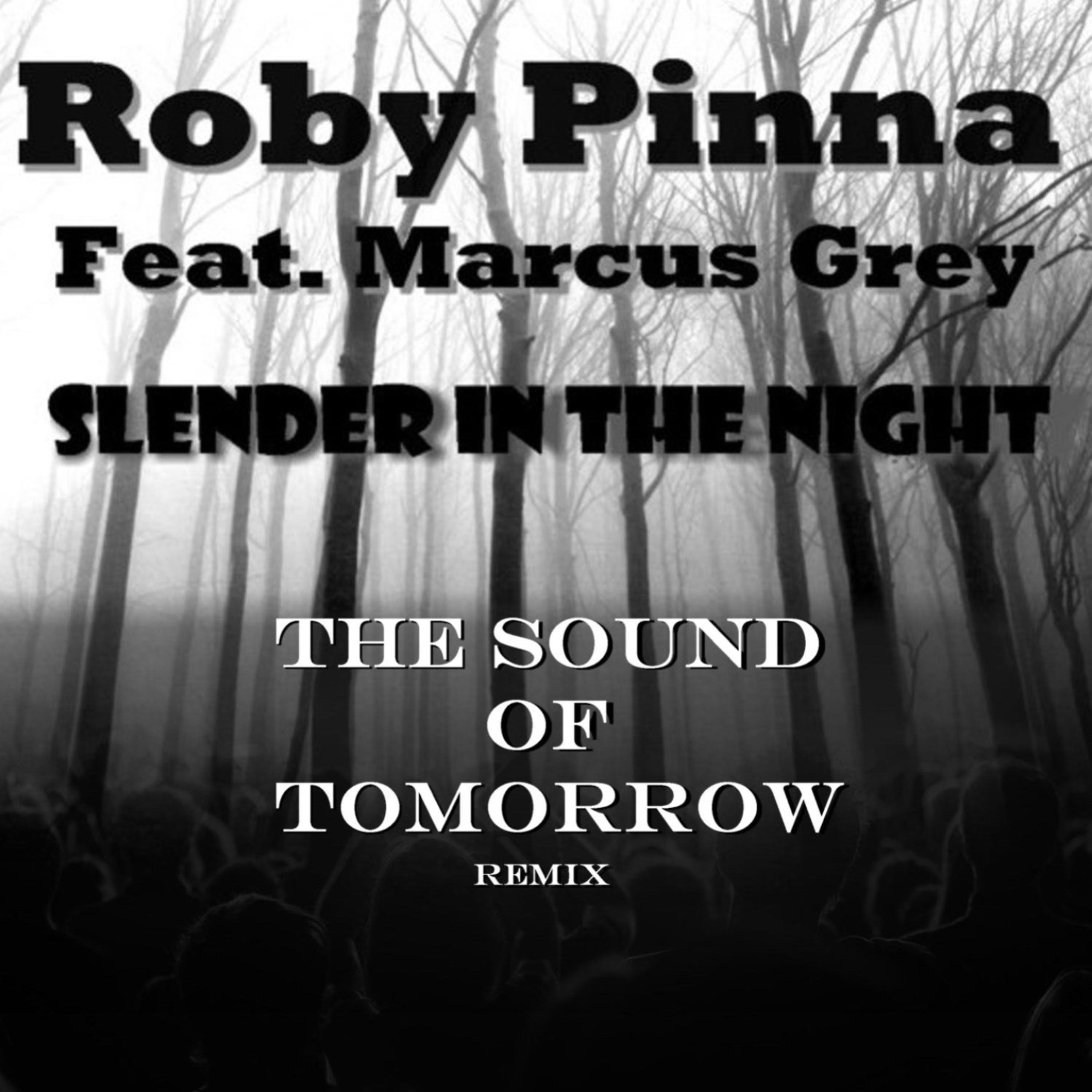 Постер альбома Slender in the Night (Sound of Tomorrow Remix)