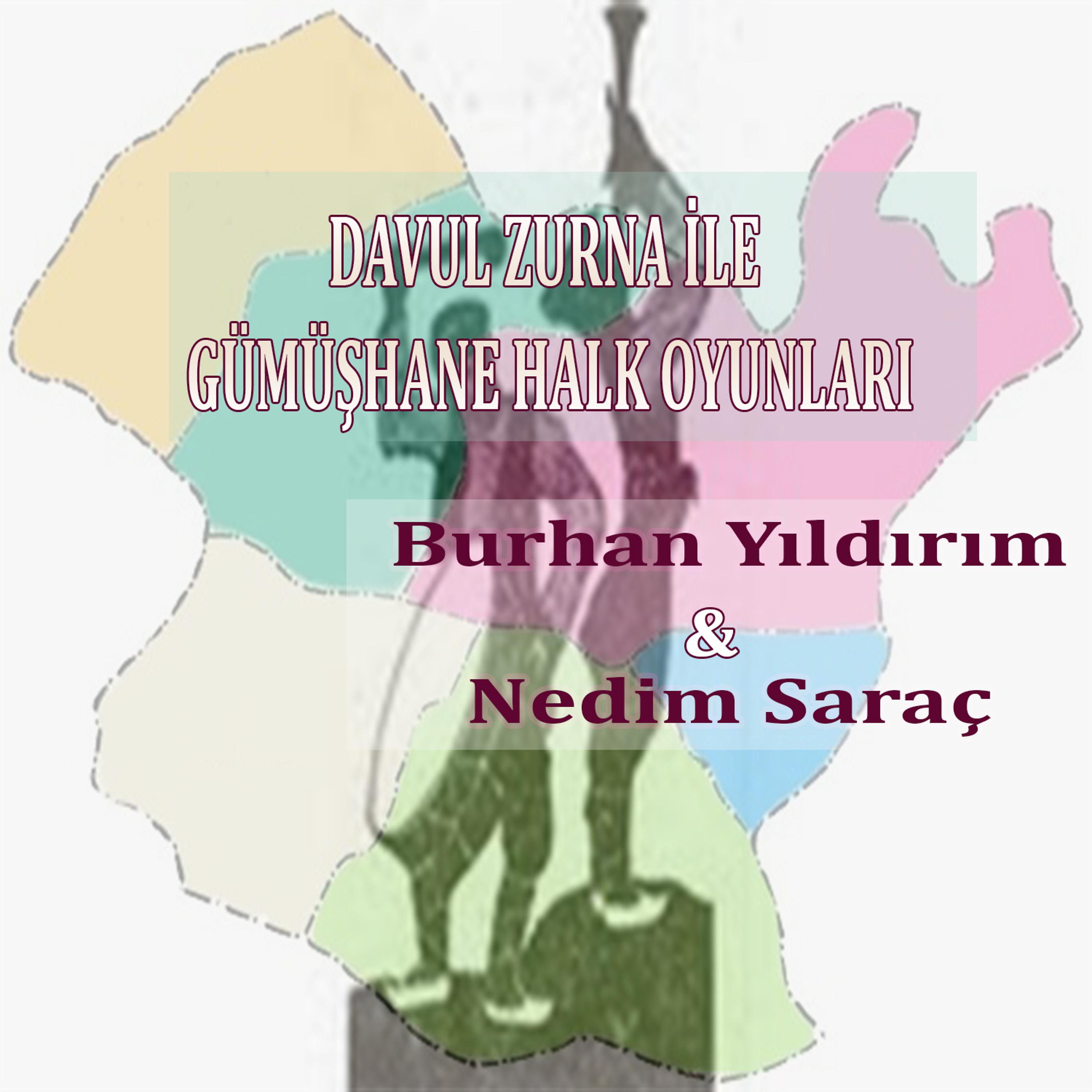 Постер альбома Davul Zurna İle Gümüşhane Halk Oyunları