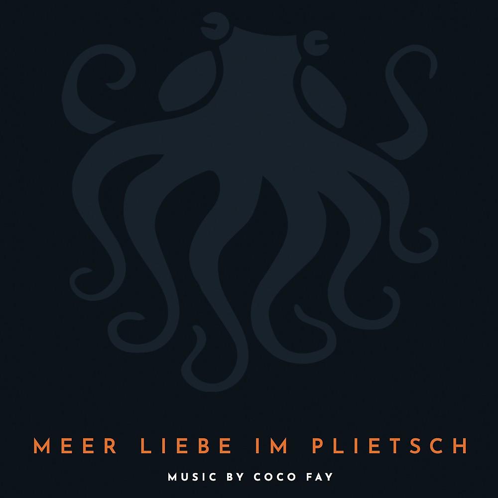 Постер альбома Meer Liebe im plietsch