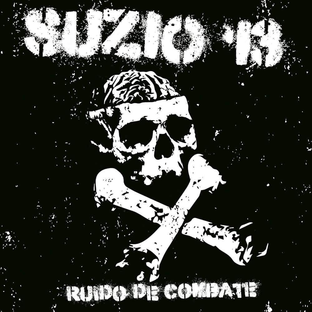Постер альбома Ruido de Combate (Directo)