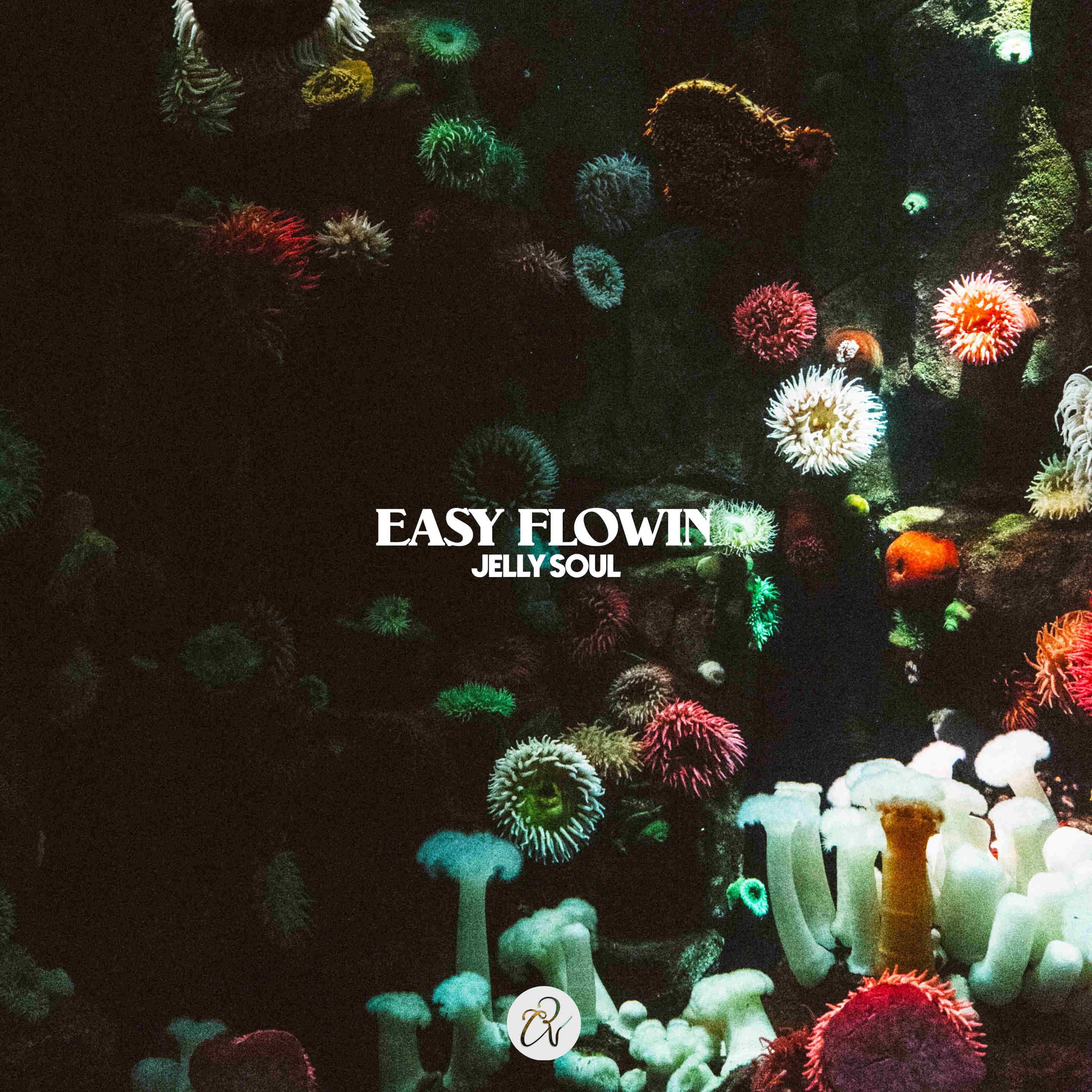 Постер альбома Easy Flowin