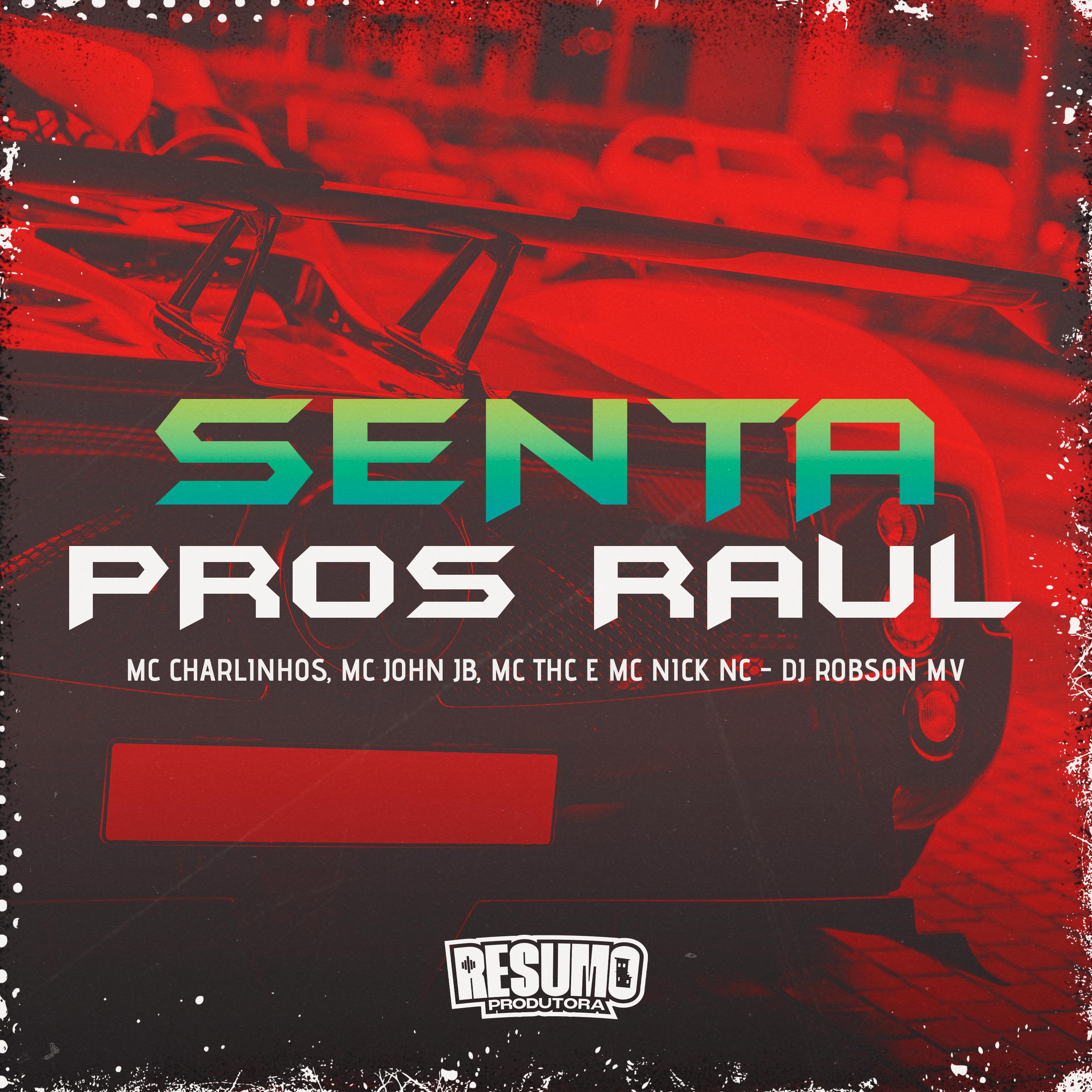 Постер альбома Senta Pros Raul
