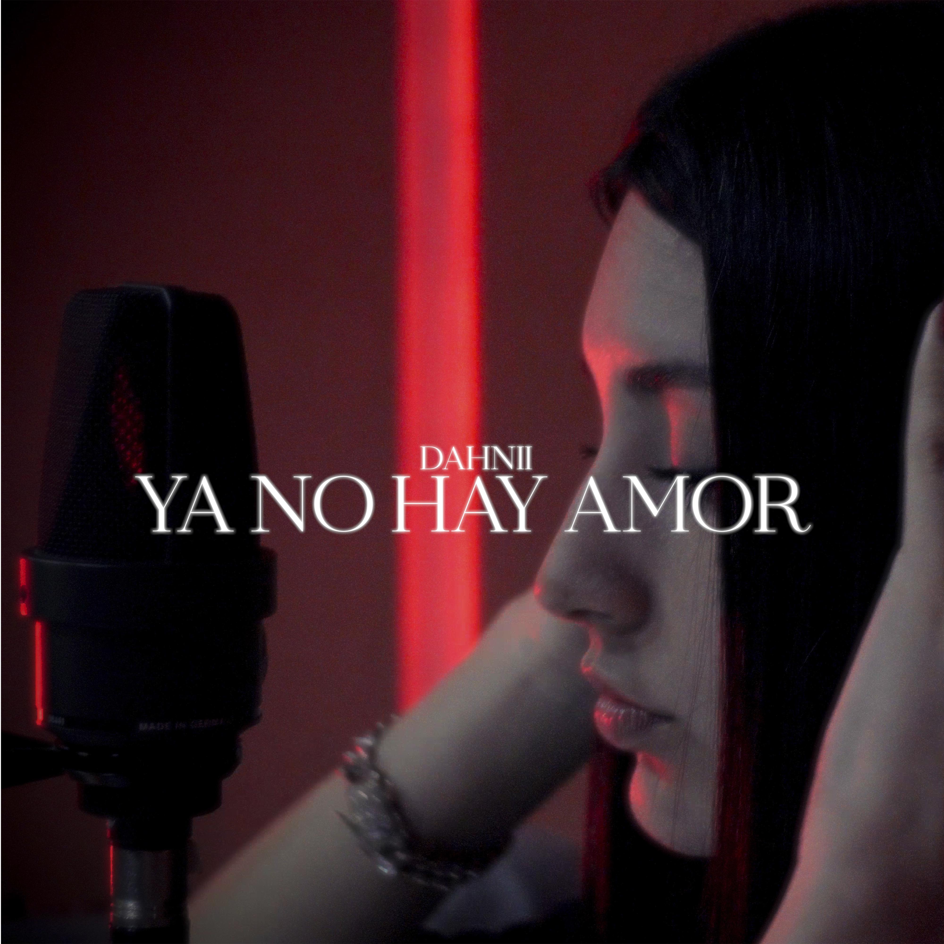 Постер альбома Ya No Hay Amor