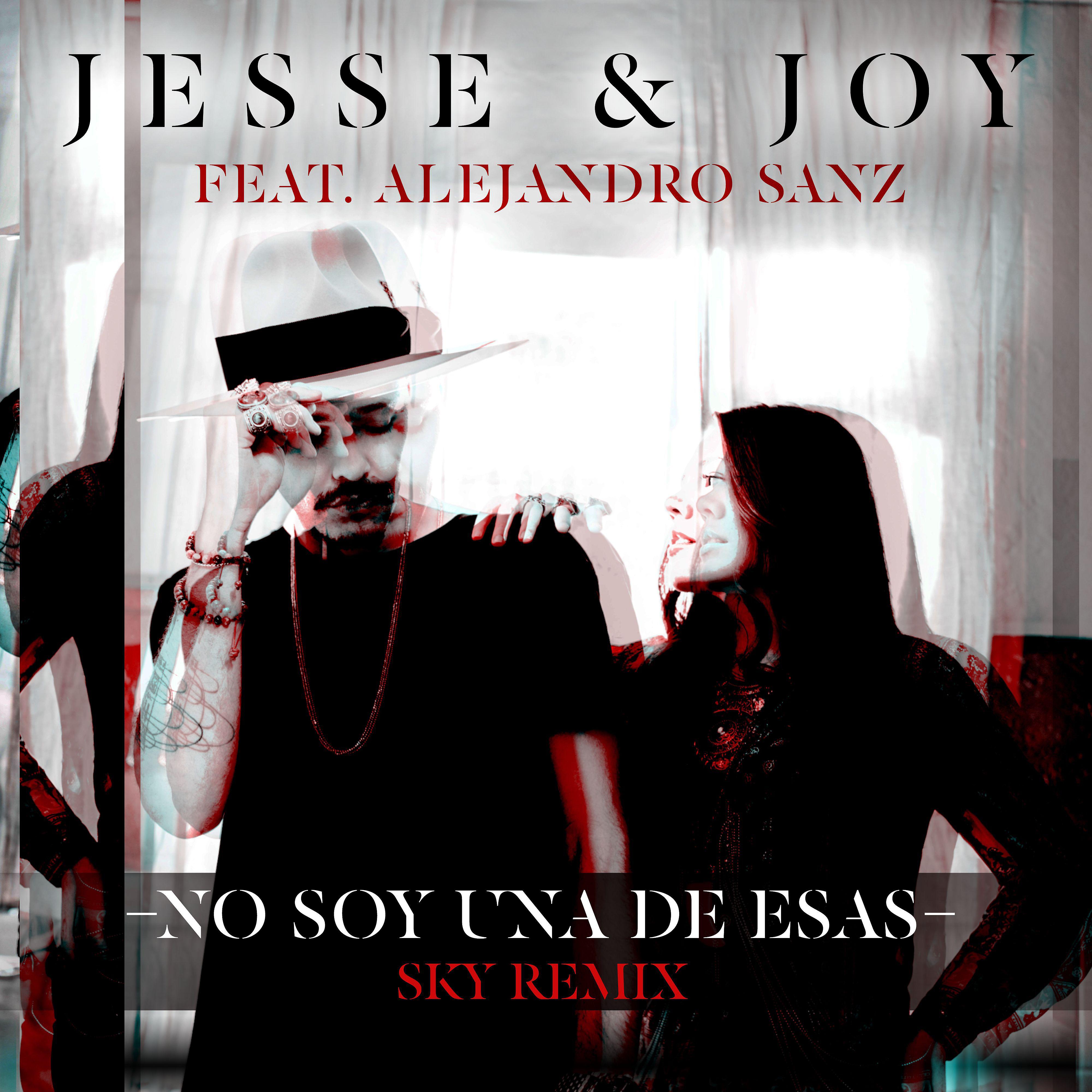 Постер альбома No Soy Una De Esas (feat. Alejandro Sanz) [Sky Remix]